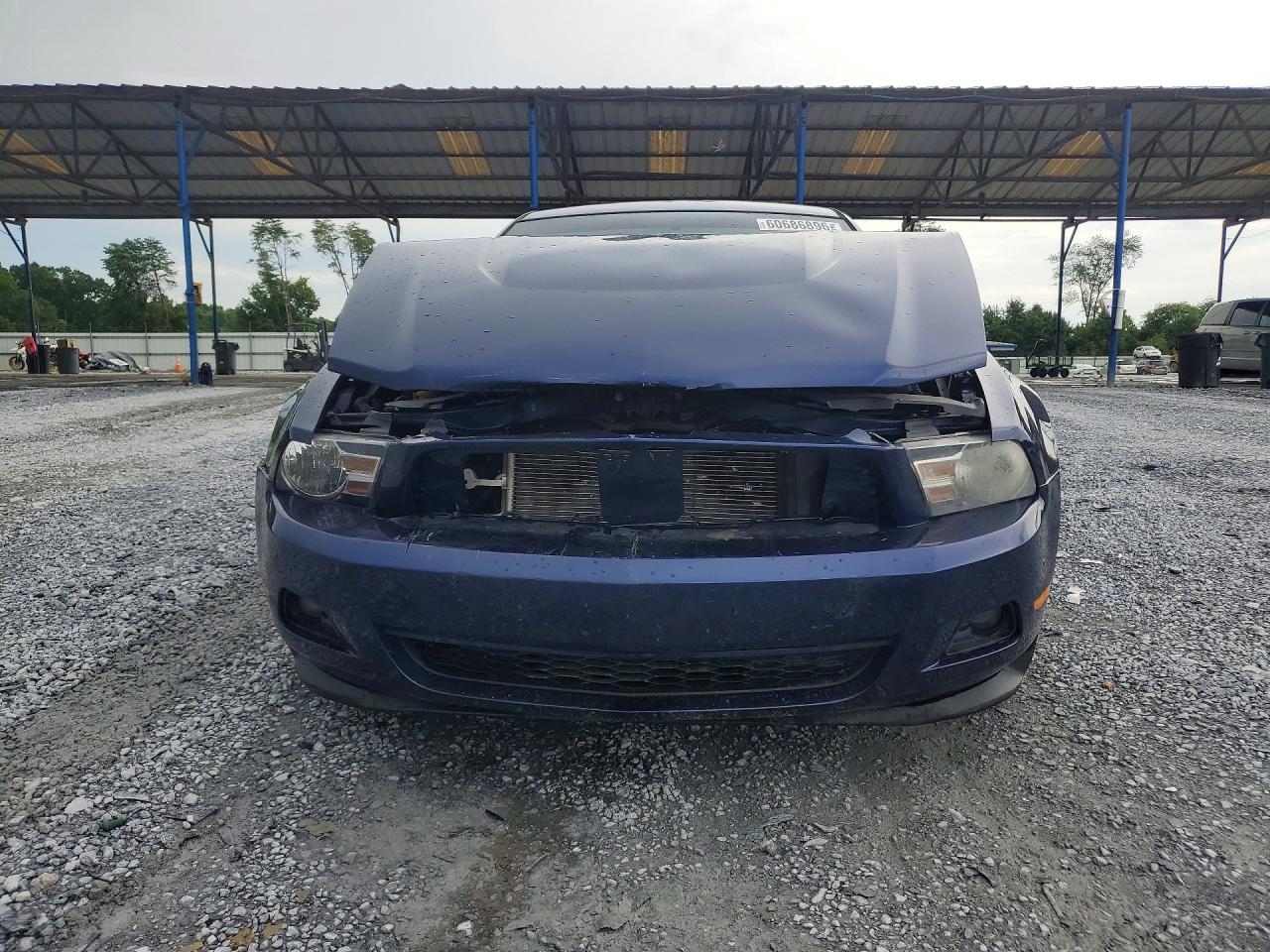 2012 Ford Mustang Blue vin: 1ZVBP8AM6C5240792