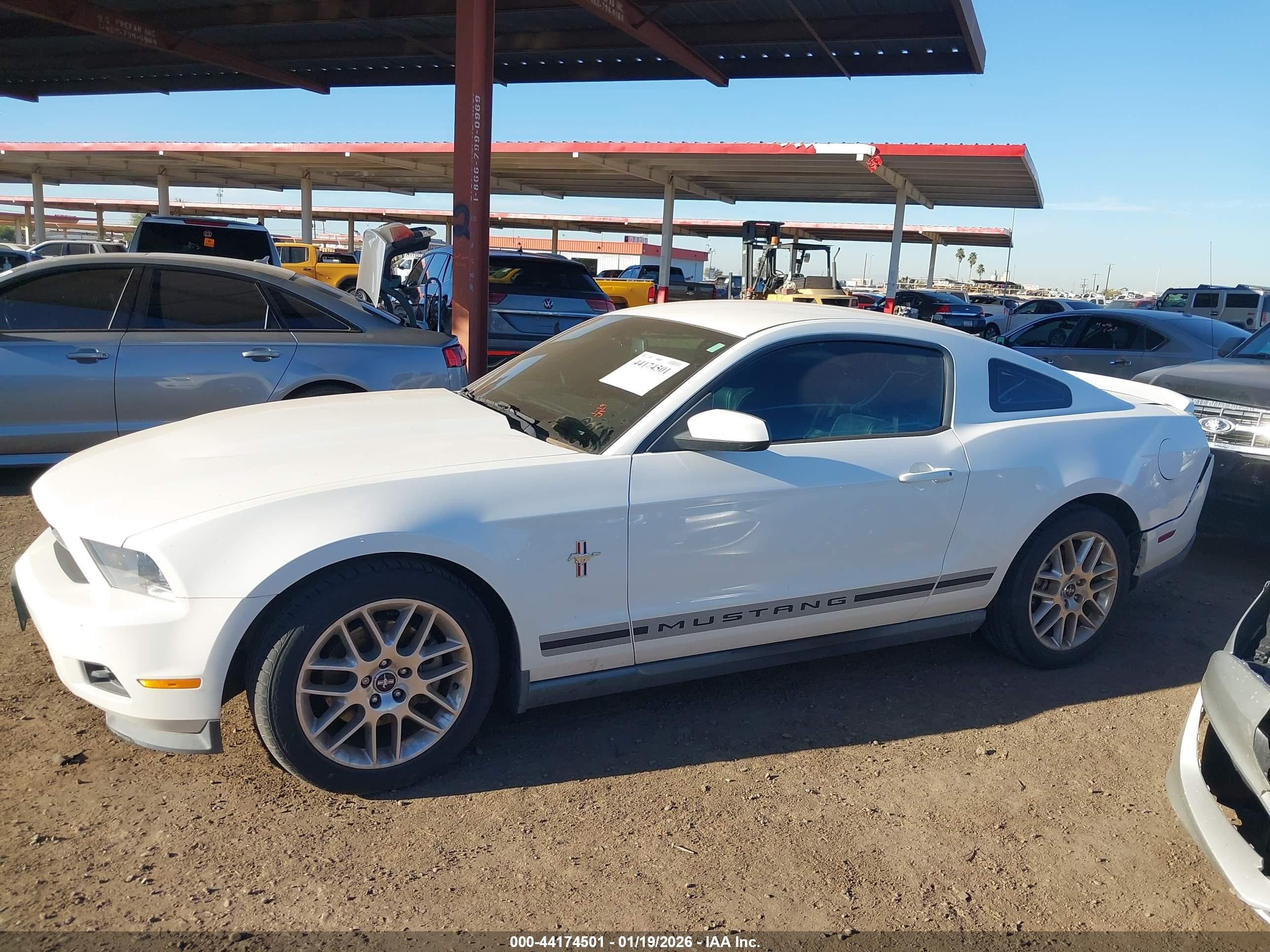 2012 Ford Mustang V6 Premium Белый vin: 1ZVBP8AM6C5270875