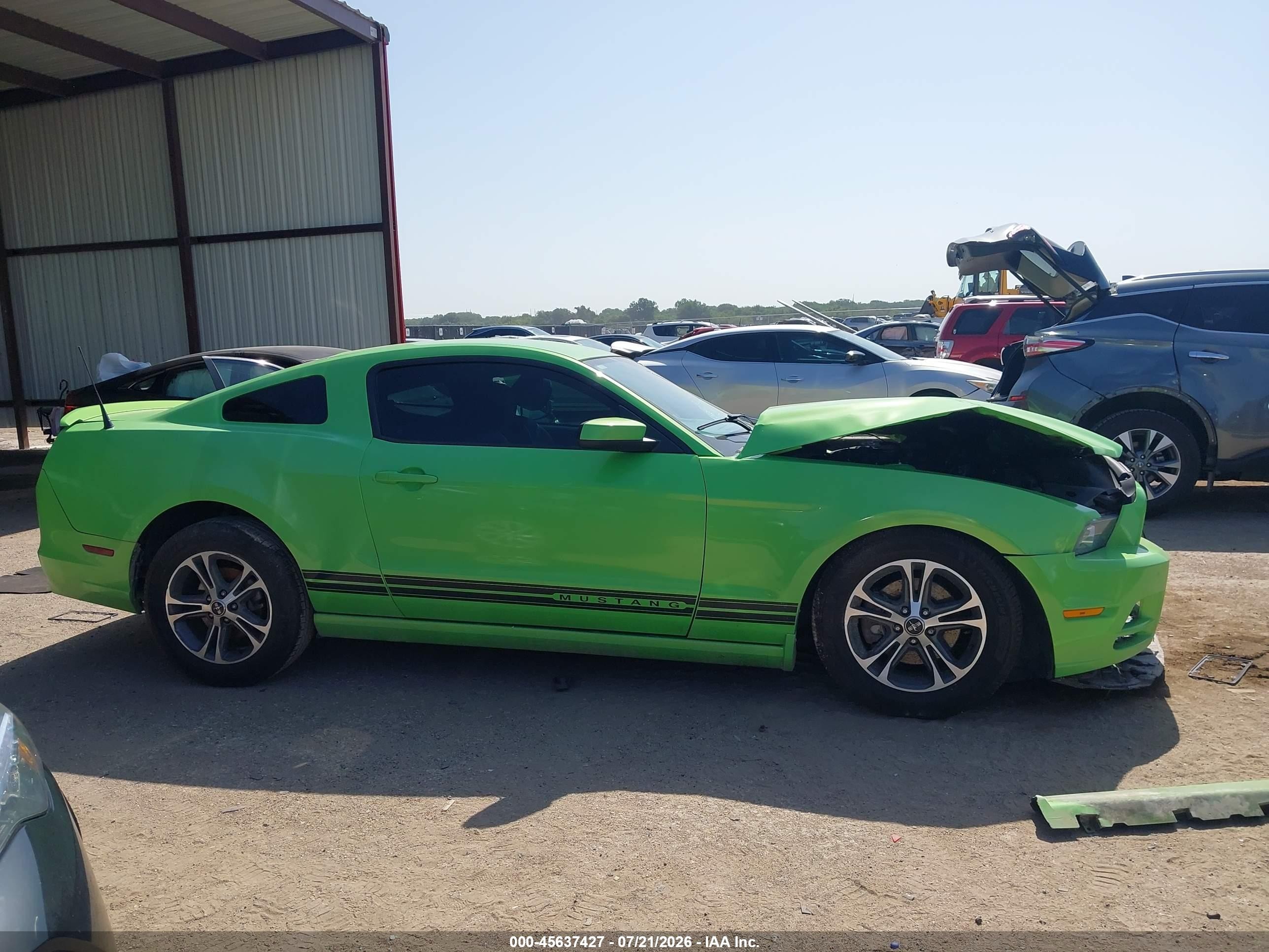 2014 Ford Mustang V6 Premium Green vin: 1ZVBP8AM6E5201574