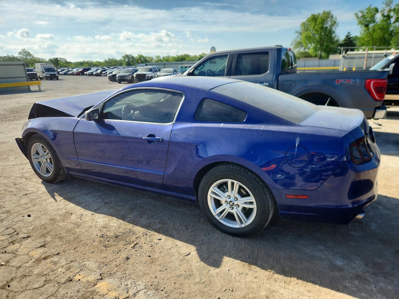 2014 Ford Mustang Фиолетовый vin: 1ZVBP8AM6E5229228