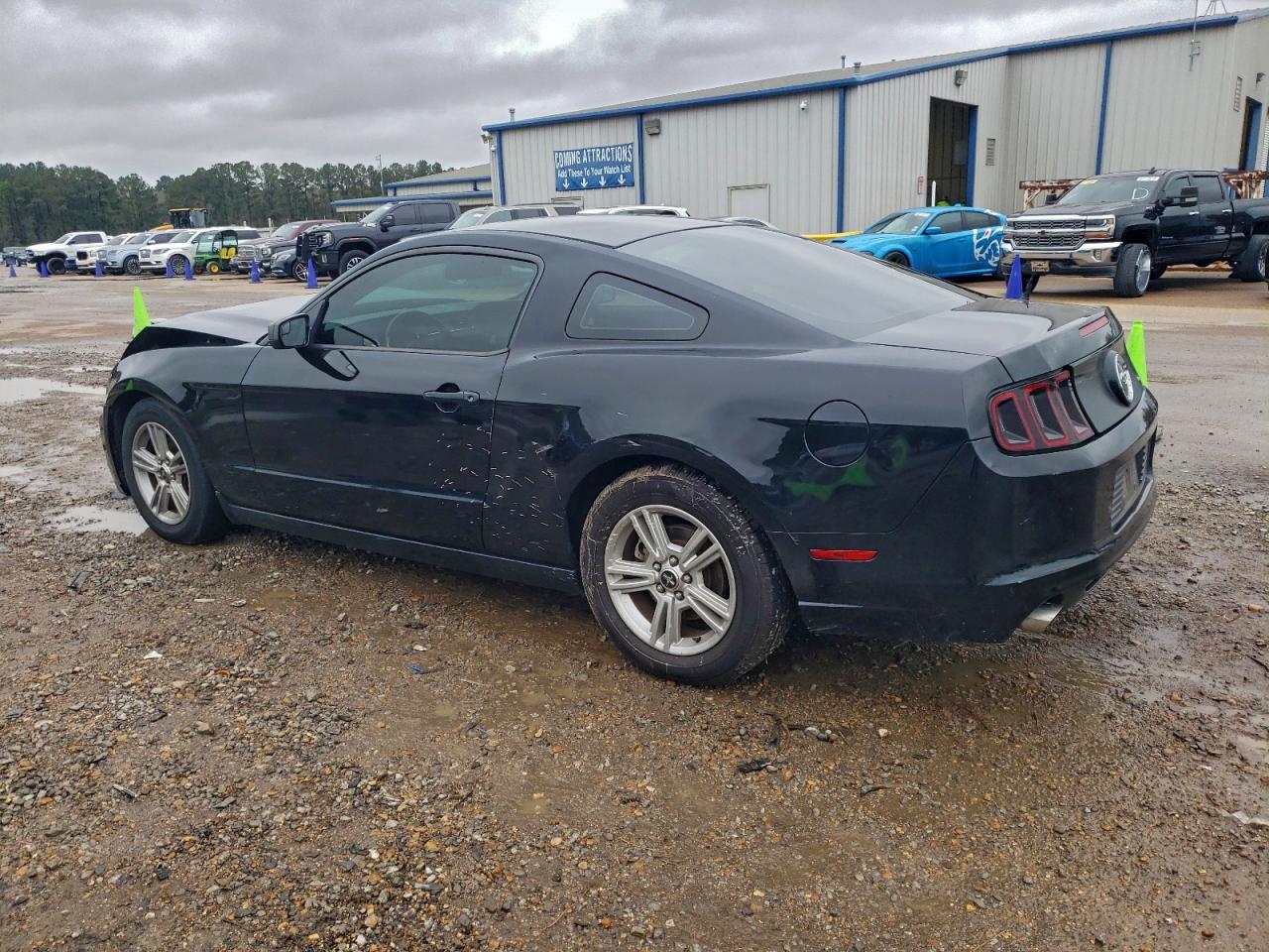 2014 Ford Mustang Black vin: 1ZVBP8AM6E5251228