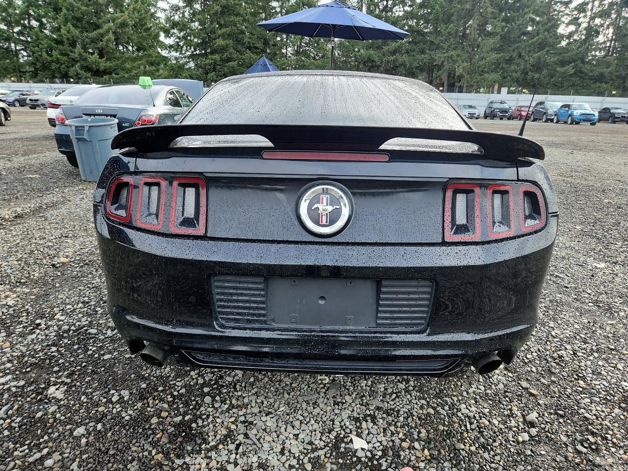2014 Ford Mustang Black vin: 1ZVBP8AM6E5264710