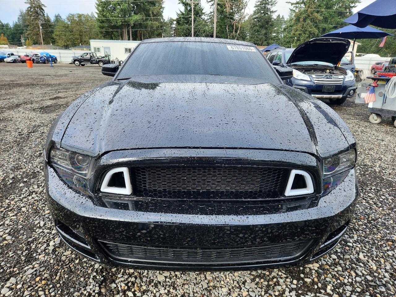 2014 Ford Mustang Black vin: 1ZVBP8AM6E5264710