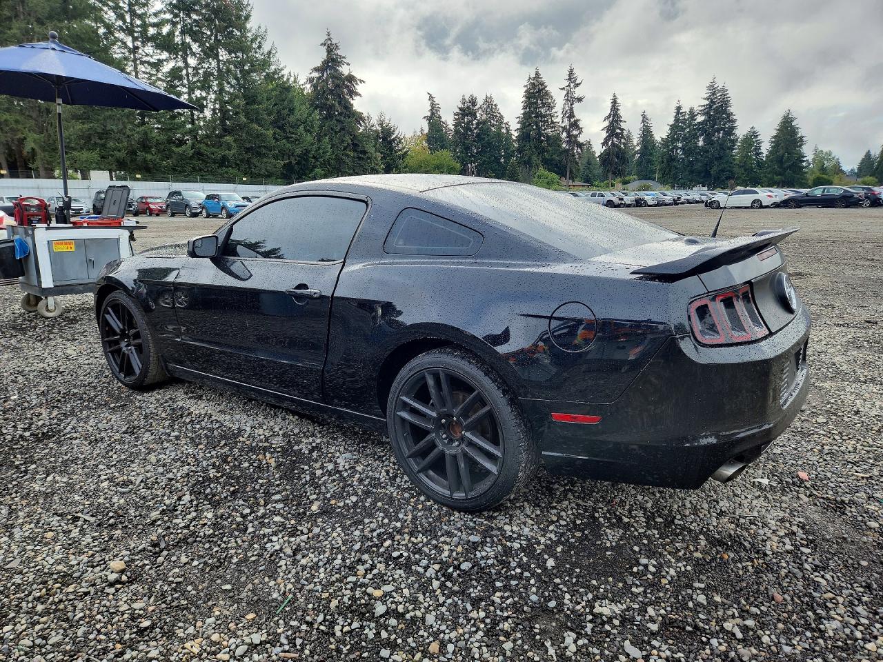 2014 Ford Mustang Black vin: 1ZVBP8AM6E5264710