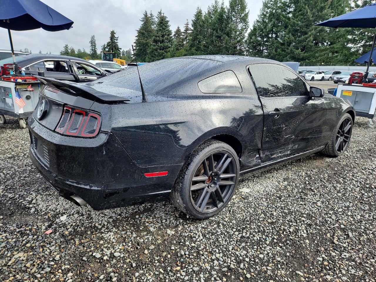 2014 Ford Mustang Black vin: 1ZVBP8AM6E5264710