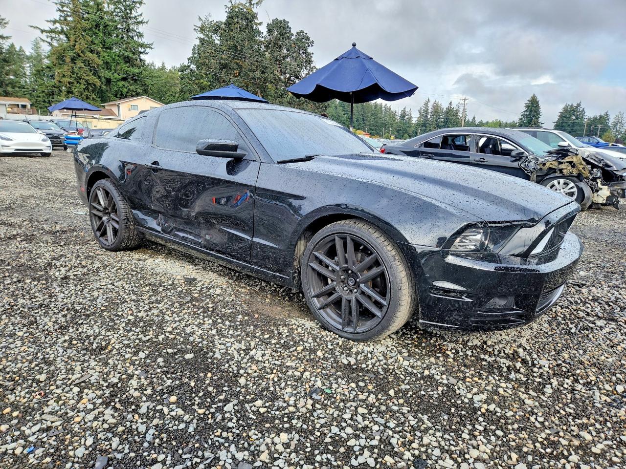 2014 Ford Mustang Black vin: 1ZVBP8AM6E5264710