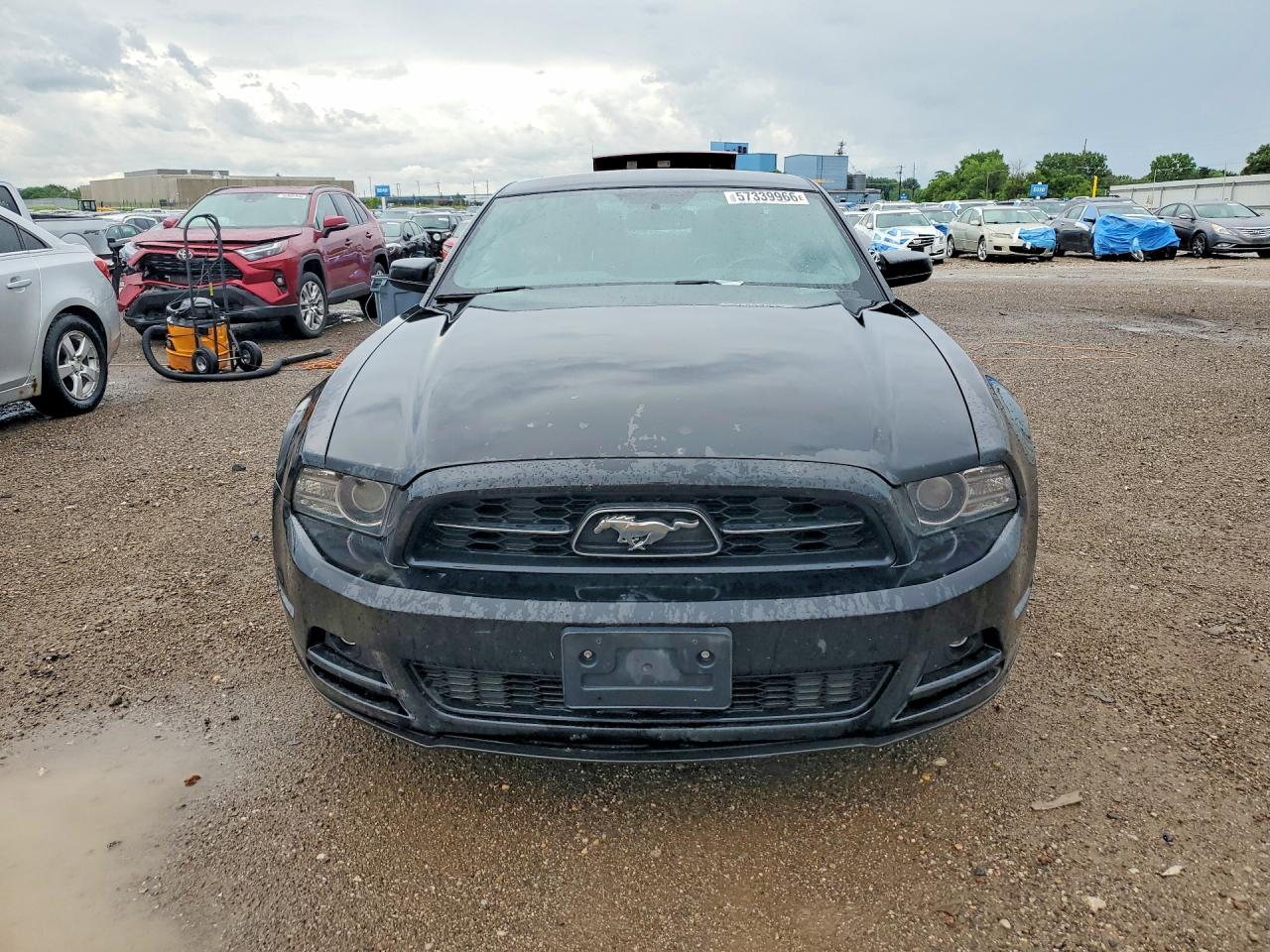 2014 Ford Mustang Black vin: 1ZVBP8AM6E5269163
