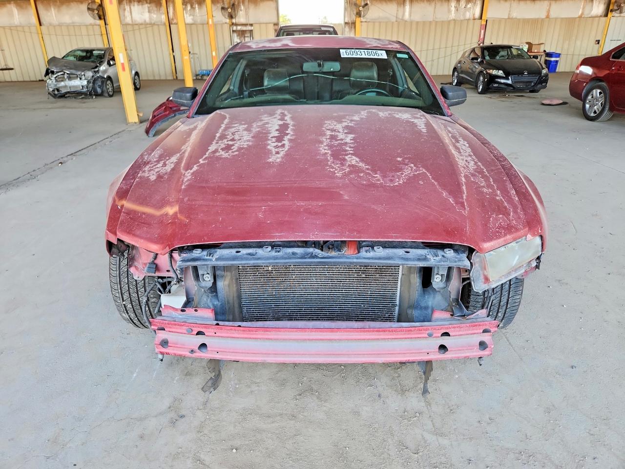 2014 Ford Mustang Red vin: 1ZVBP8AM6E5270149
