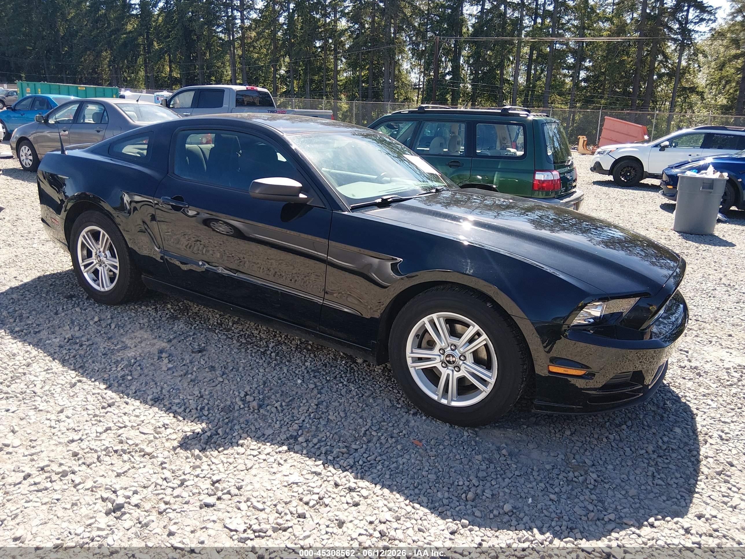 2014 Ford Mustang V6 Black vin: 1ZVBP8AM6E5270278