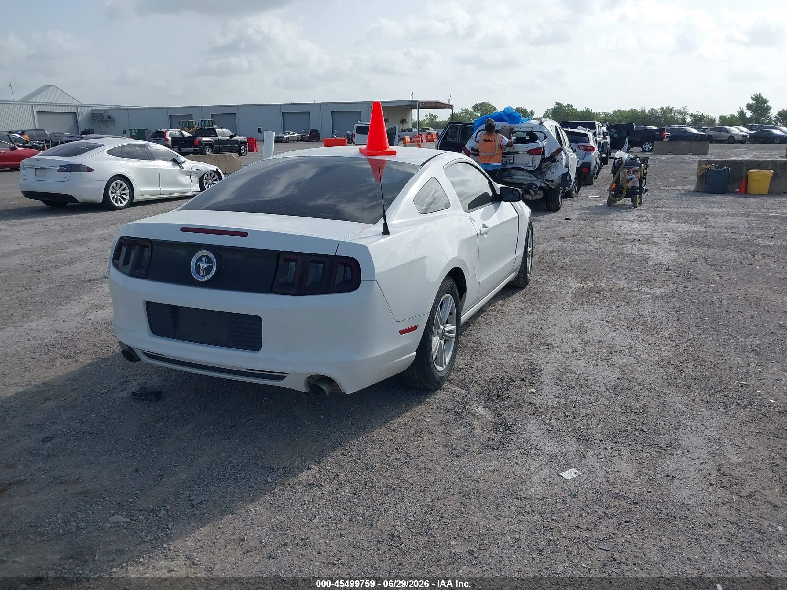 2014 Ford Mustang V6/v6 Premium White vin: 1ZVBP8AM6E5274444