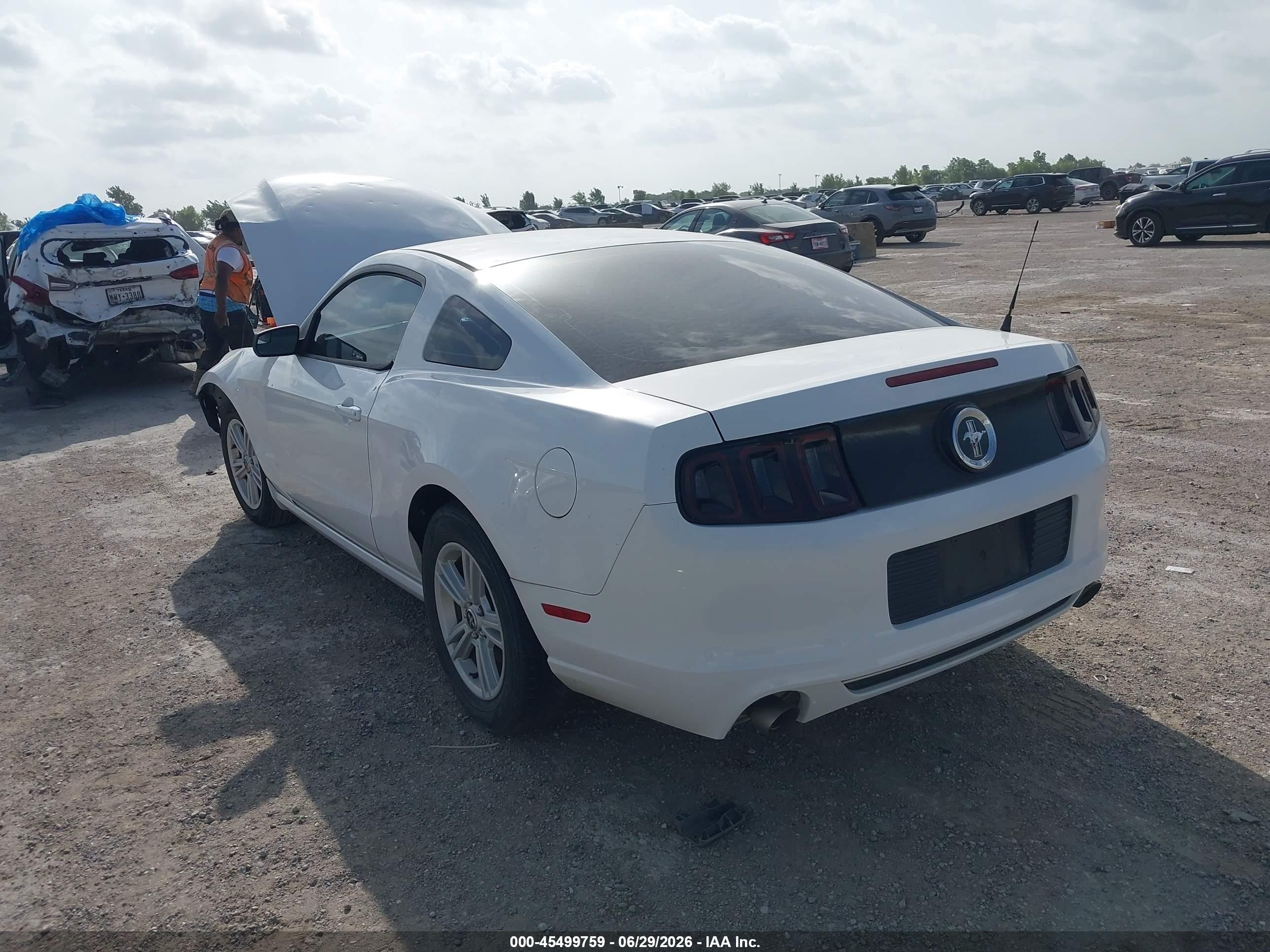 2014 Ford Mustang V6/v6 Premium White vin: 1ZVBP8AM6E5274444