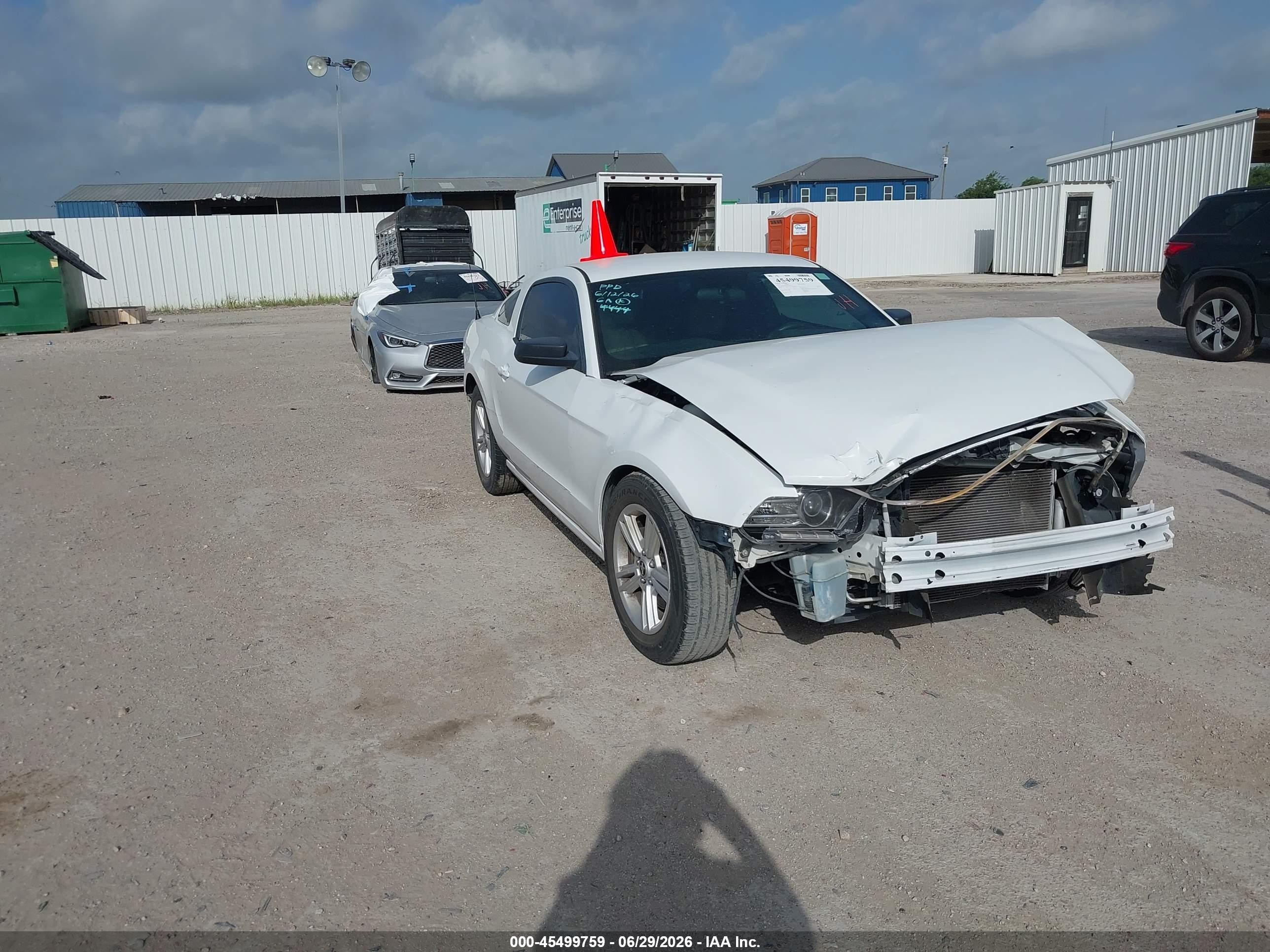 2014 Ford Mustang V6/v6 Premium White vin: 1ZVBP8AM6E5274444