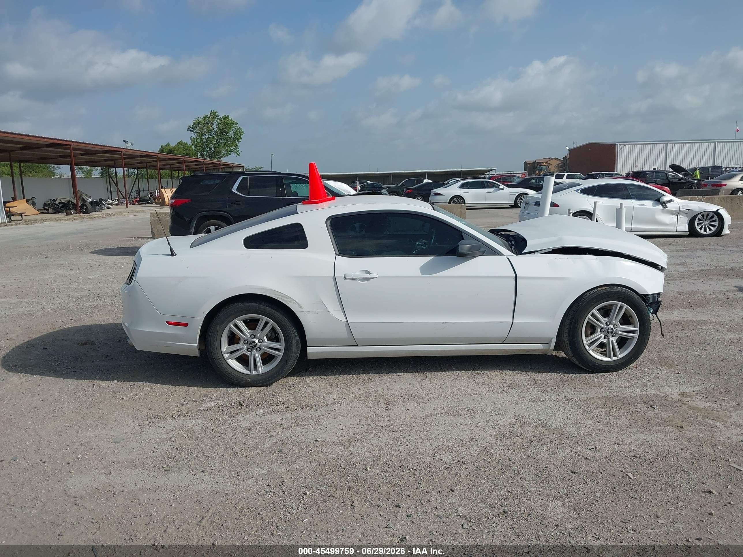 2014 Ford Mustang V6/v6 Premium White vin: 1ZVBP8AM6E5274444