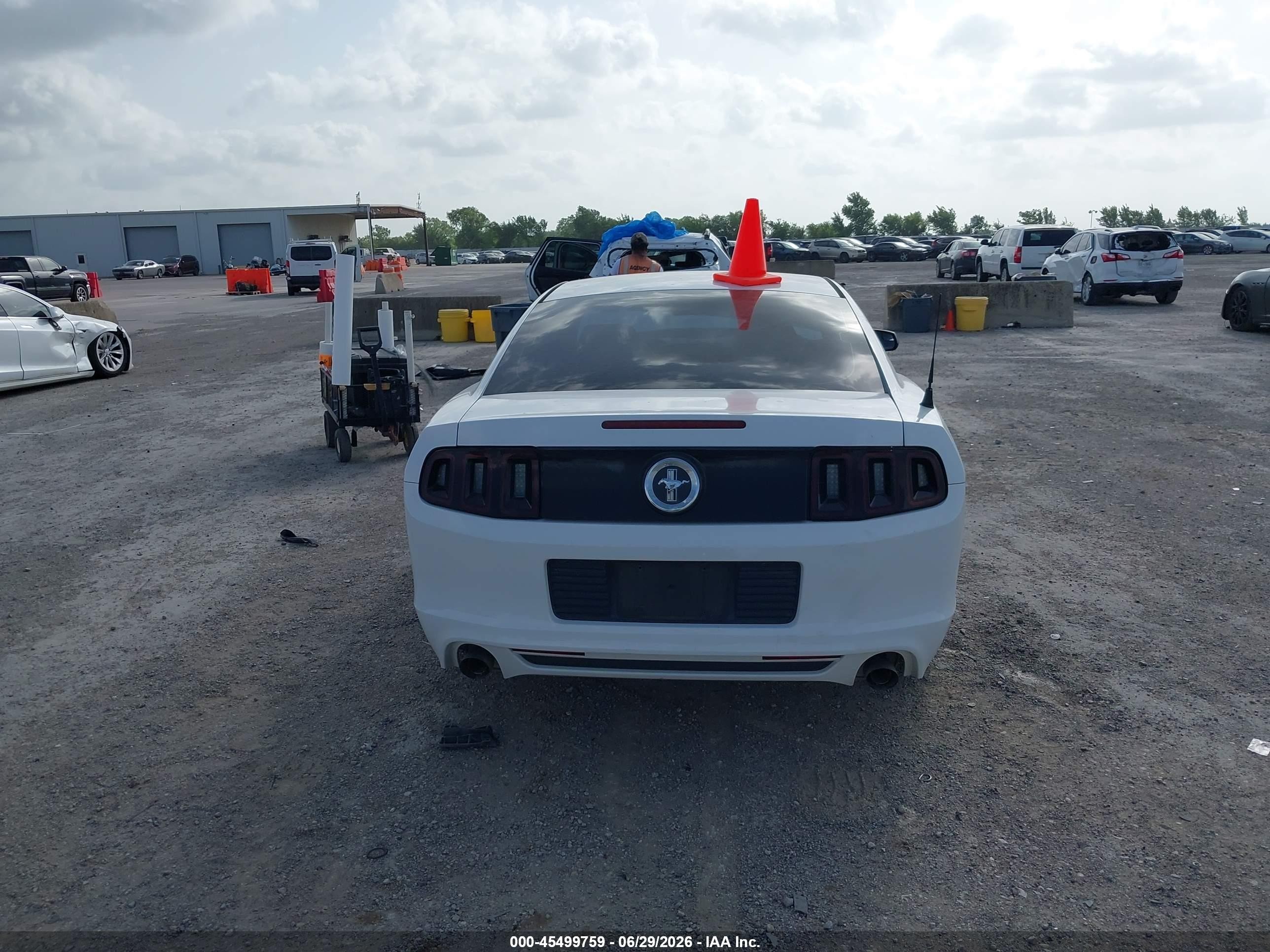 2014 Ford Mustang V6/v6 Premium White vin: 1ZVBP8AM6E5274444