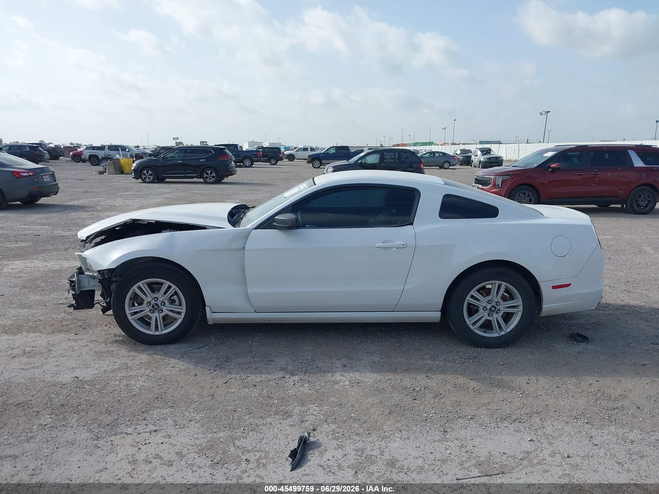 2014 Ford Mustang V6/v6 Premium White vin: 1ZVBP8AM6E5274444