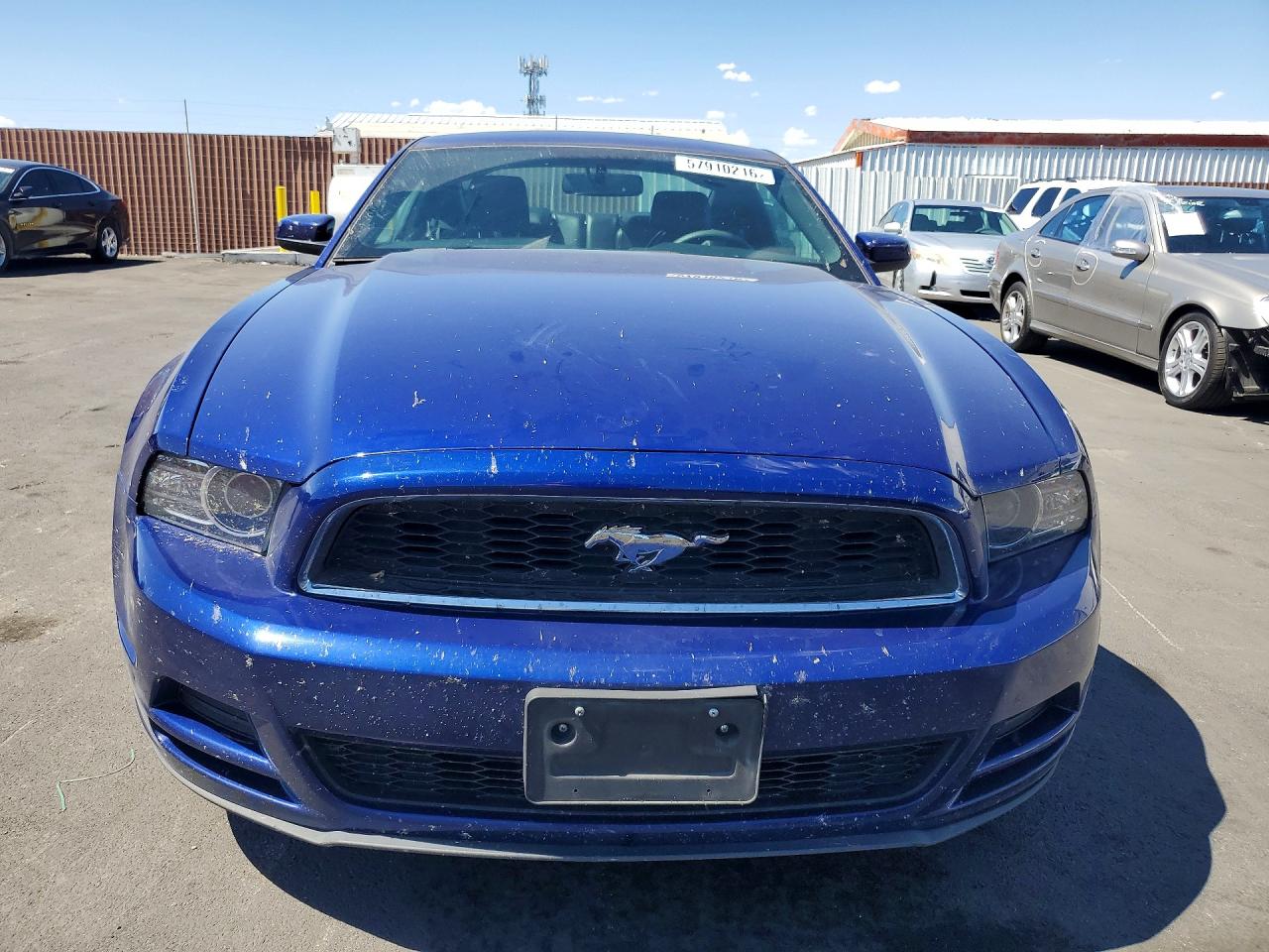2014 Ford Mustang Blue vin: 1ZVBP8AM6E5286187