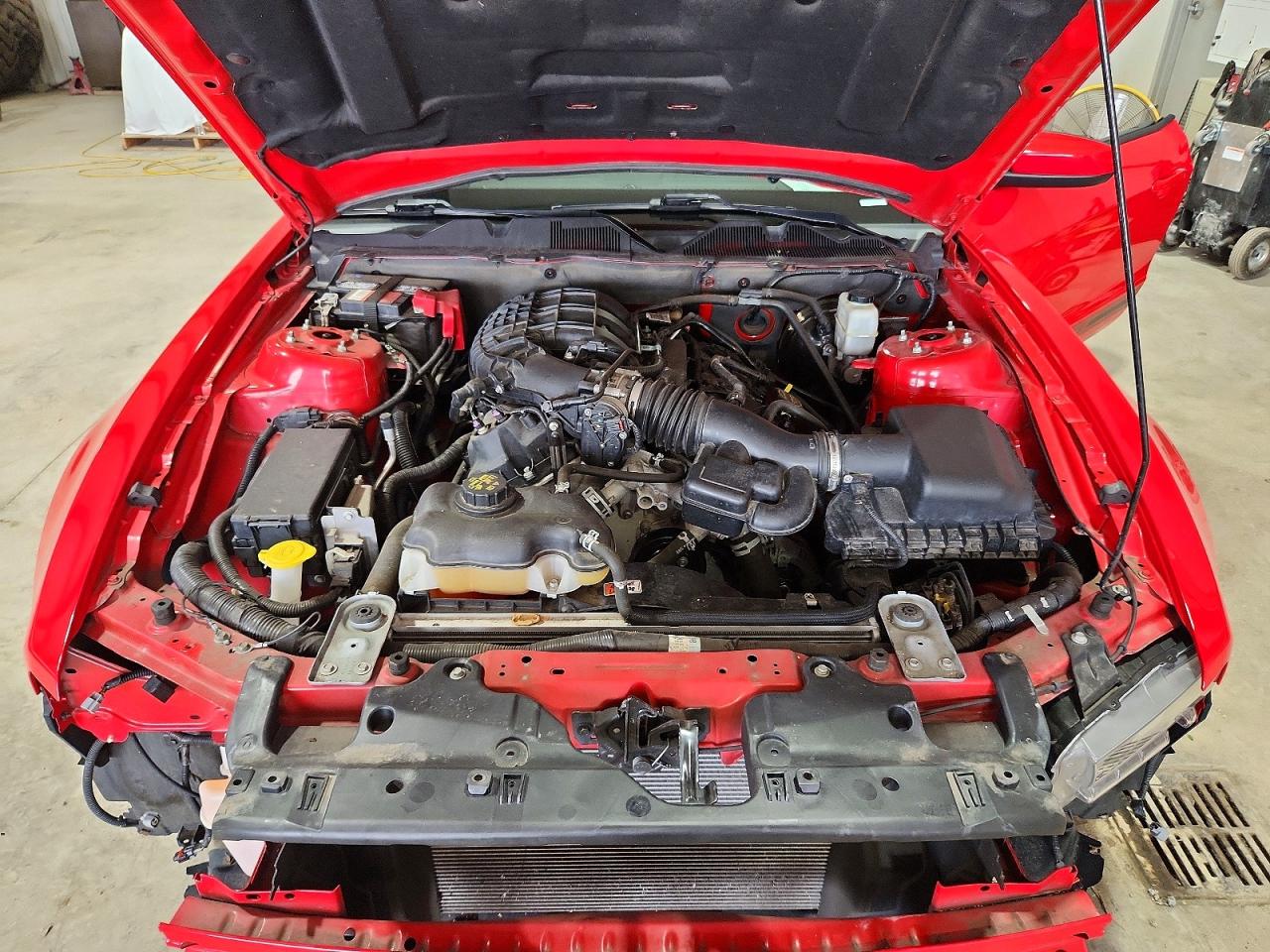2014 Ford Mustang Red vin: 1ZVBP8AM6E5312772