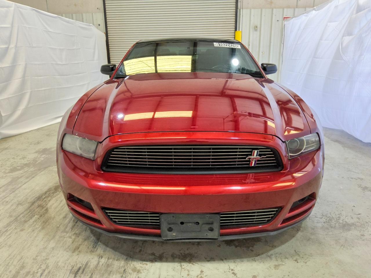 2014 Ford Mustang Red vin: 1ZVBP8AM6E5321908
