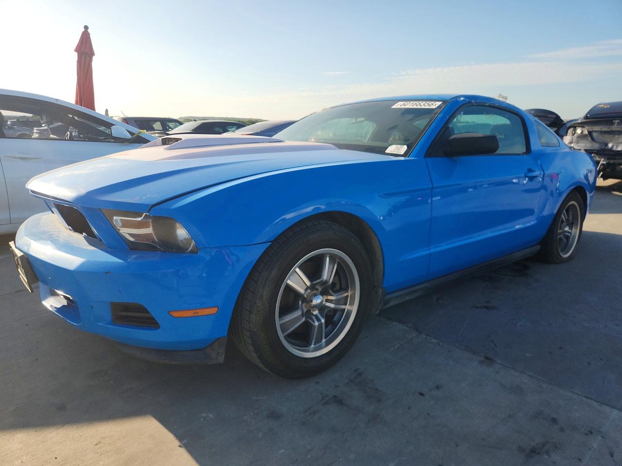 2011 Ford Mustang Blue vin: 1ZVBP8AM7B5126282