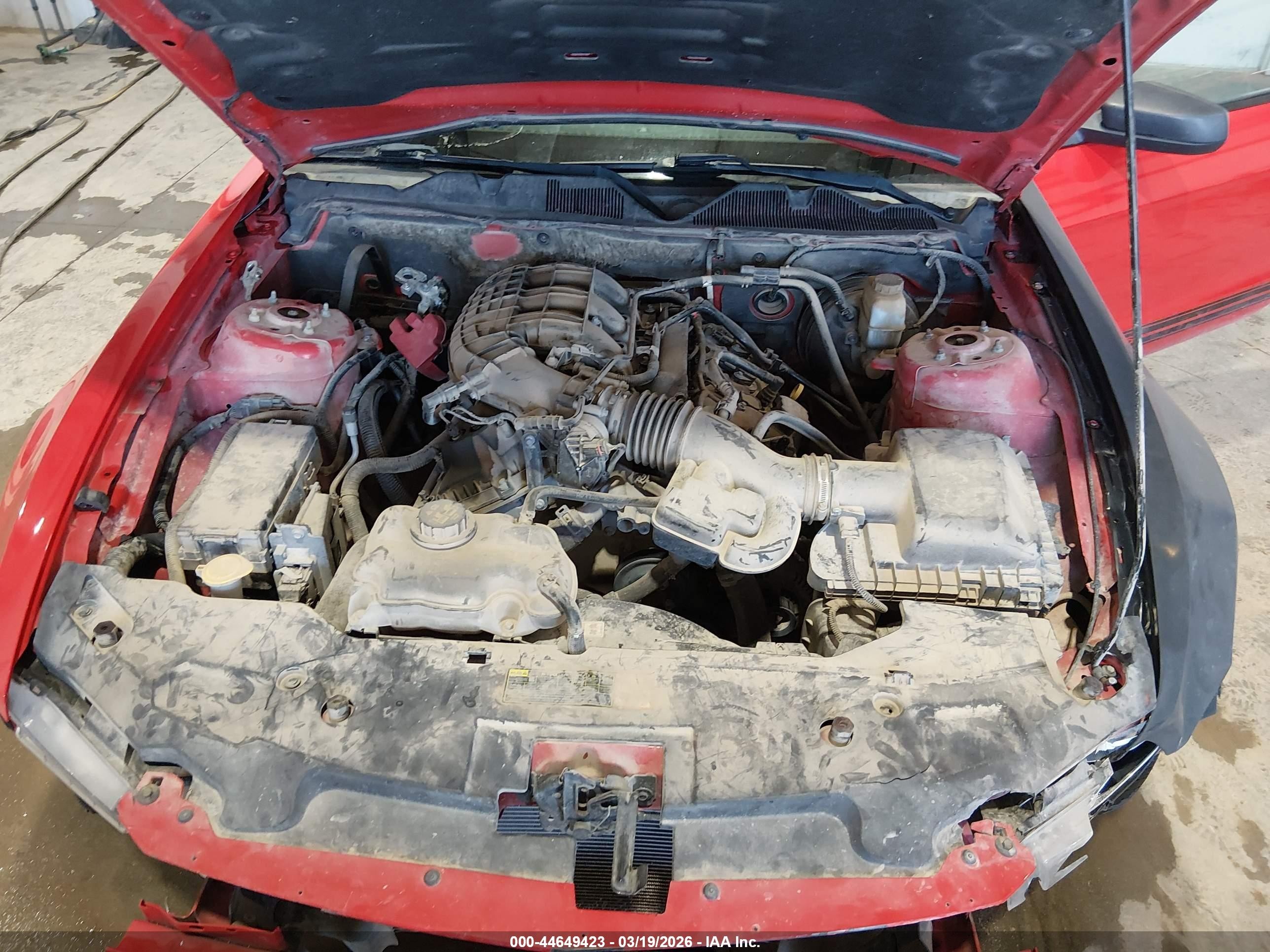 2011 Ford Mustang V6 Premium Red vin: 1ZVBP8AM7B5168192