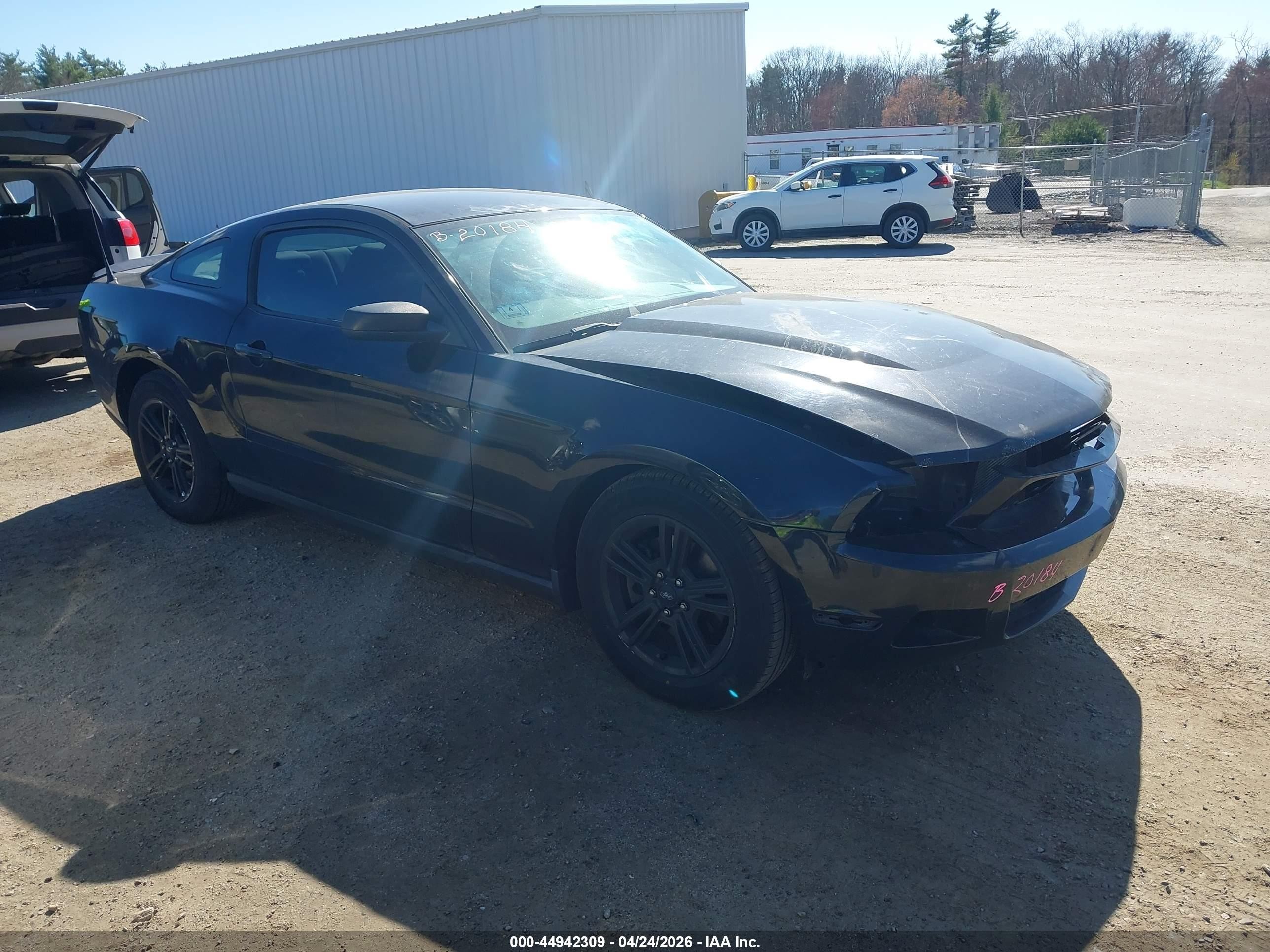 2012 Ford Mustang V6 Black vin: 1ZVBP8AM7C5276720