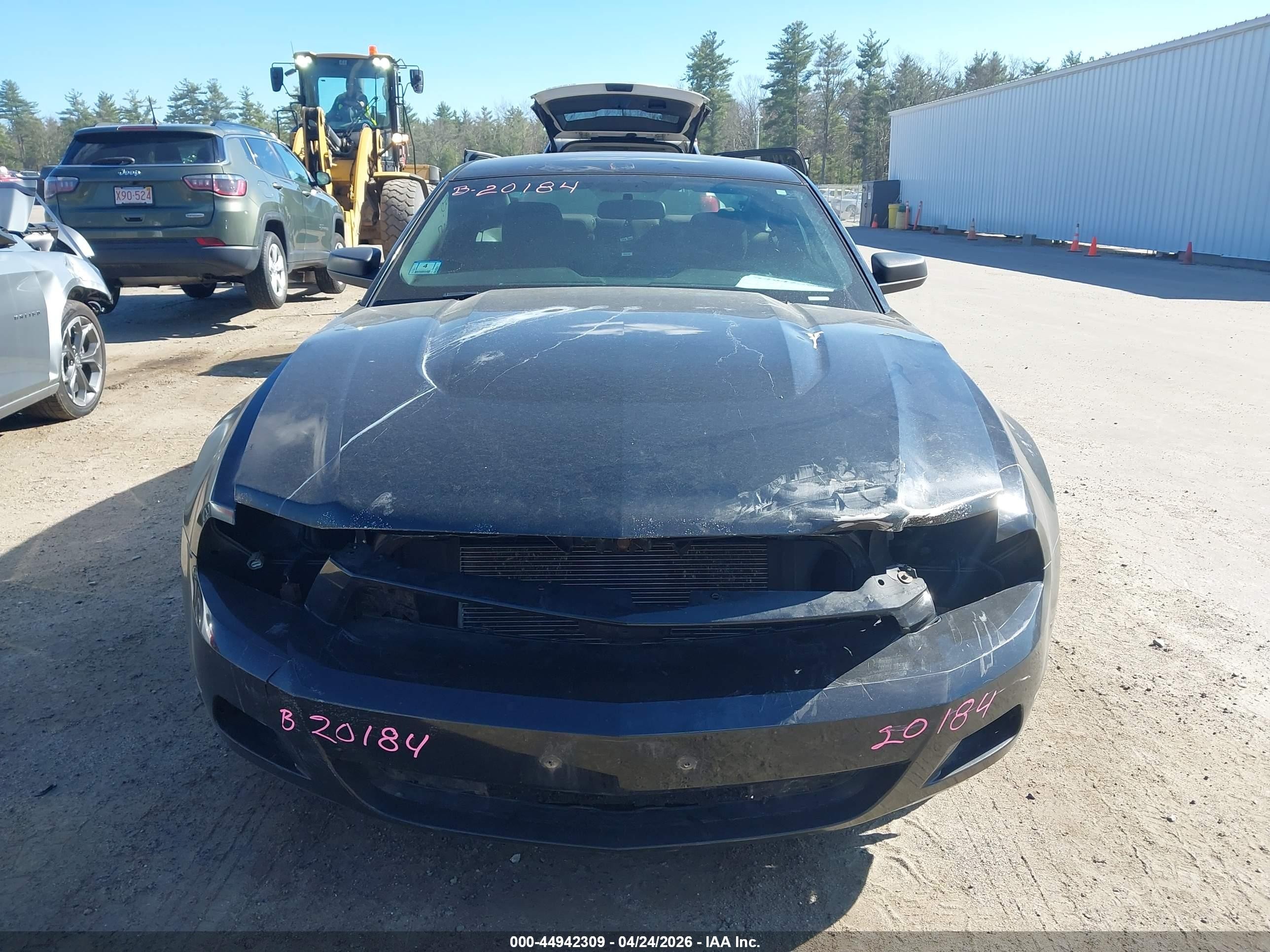 2012 Ford Mustang V6 Black vin: 1ZVBP8AM7C5276720