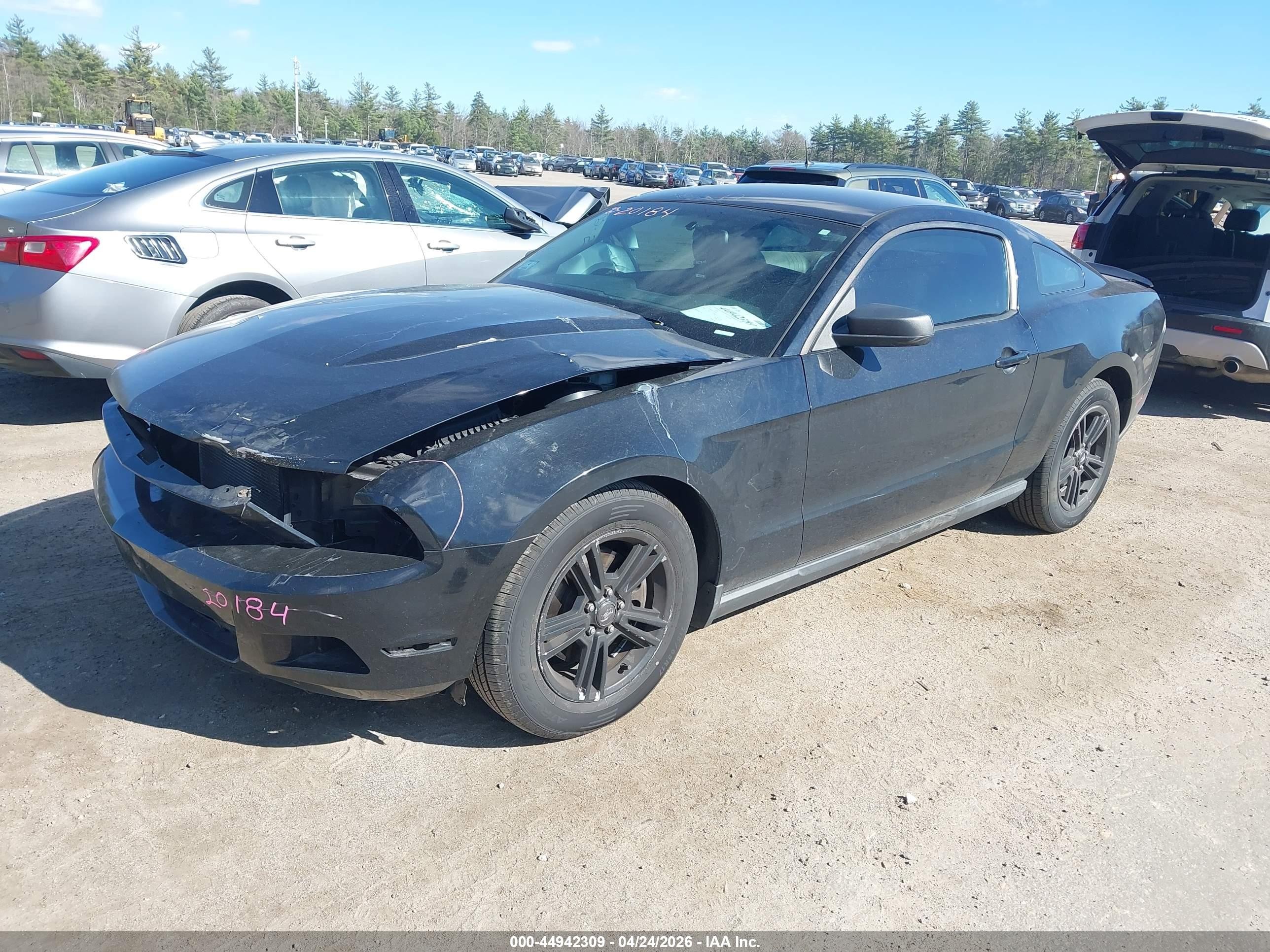 2012 Ford Mustang V6 Black vin: 1ZVBP8AM7C5276720