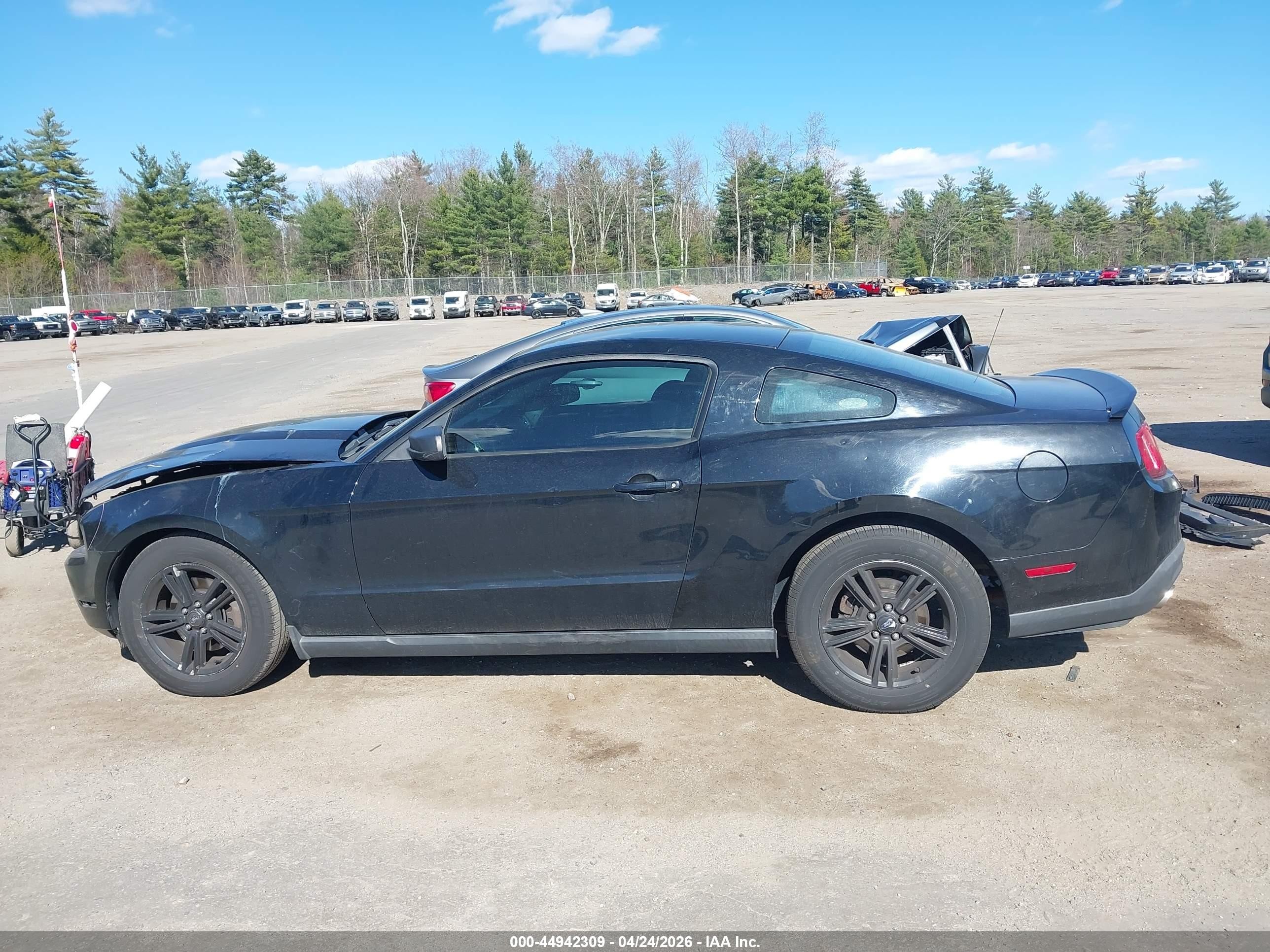 2012 Ford Mustang V6 Black vin: 1ZVBP8AM7C5276720