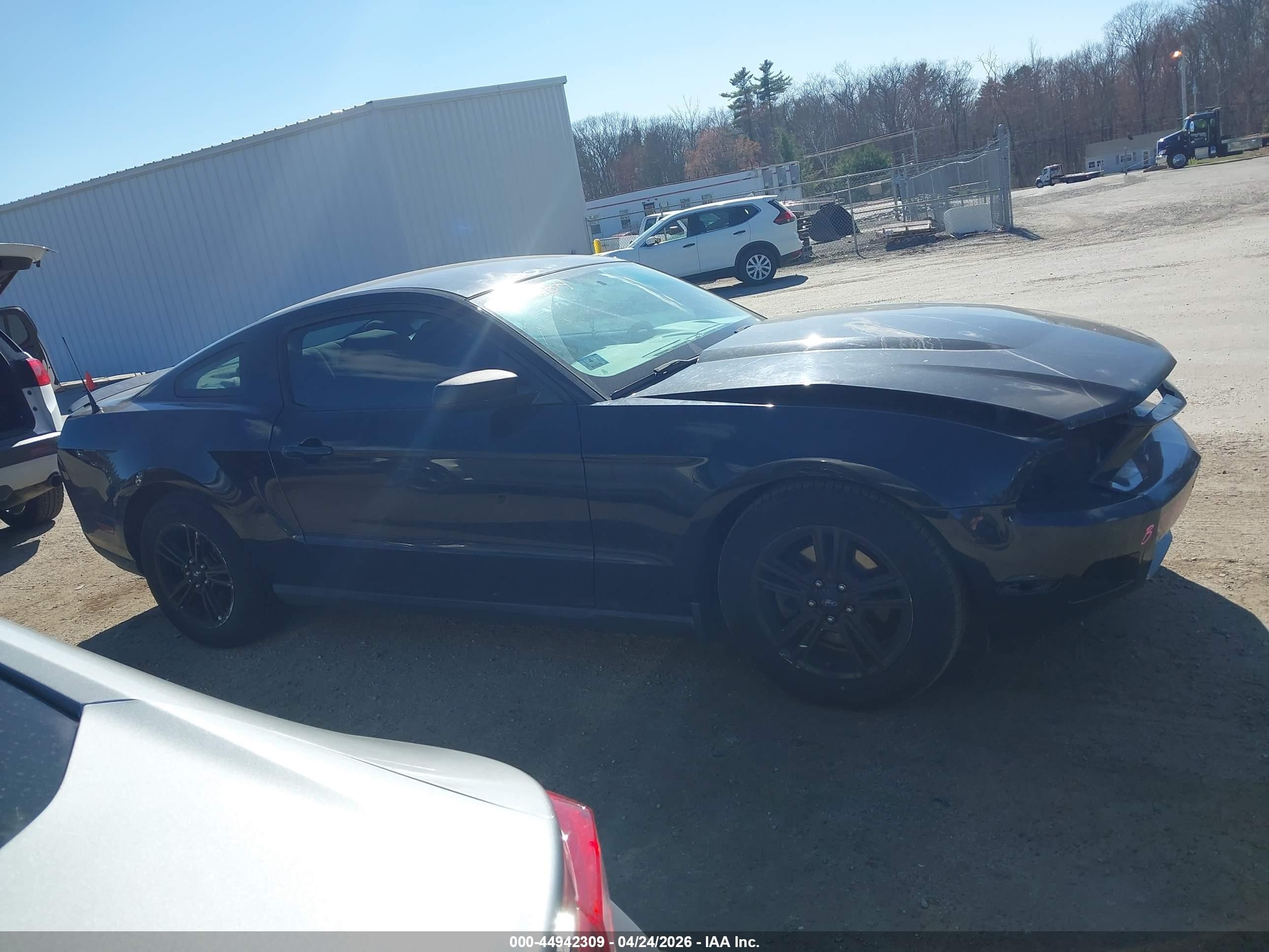 2012 Ford Mustang V6 Black vin: 1ZVBP8AM7C5276720