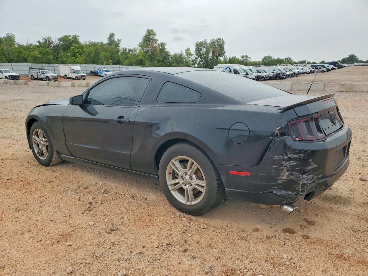 2013 Ford Mustang Black vin: 1ZVBP8AM7D5207804