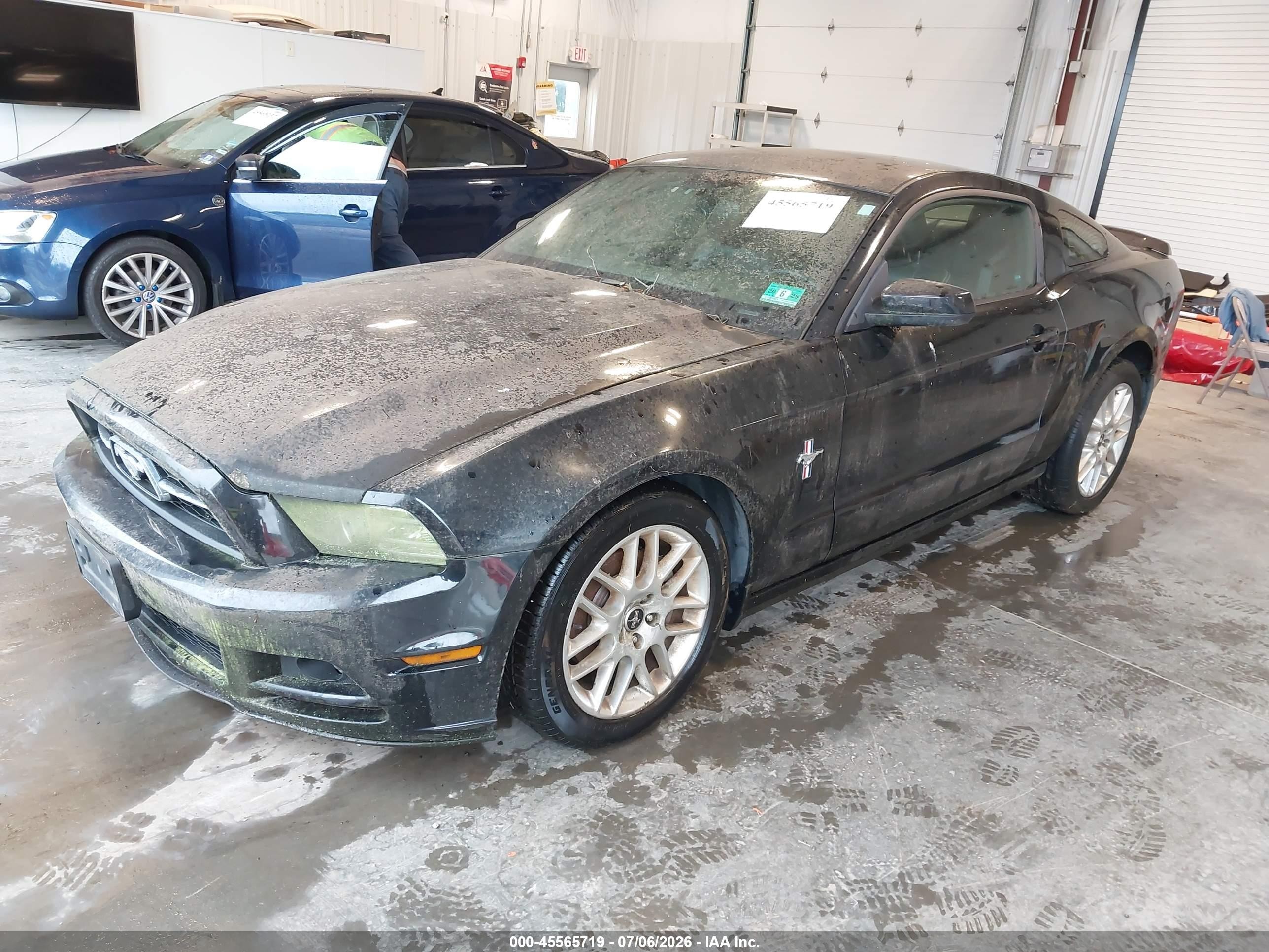2013 Ford Mustang V6 Premium Black vin: 1ZVBP8AM7D5222920