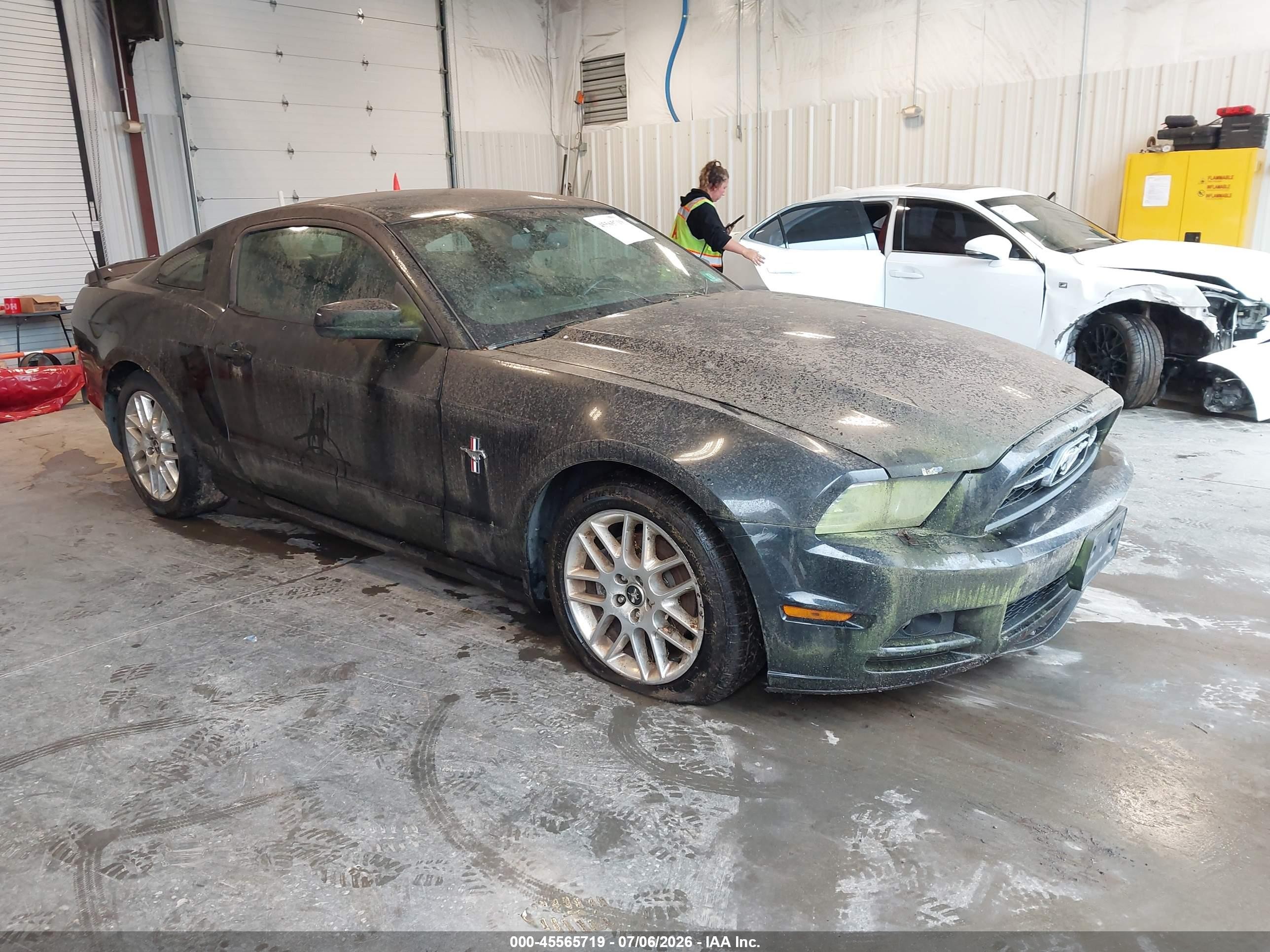 2013 Ford Mustang V6 Premium Black vin: 1ZVBP8AM7D5222920