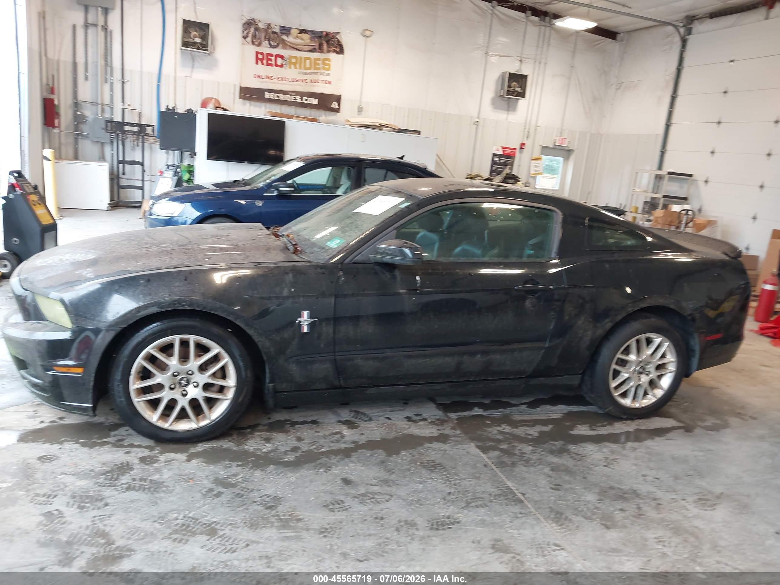 2013 Ford Mustang V6 Premium Black vin: 1ZVBP8AM7D5222920