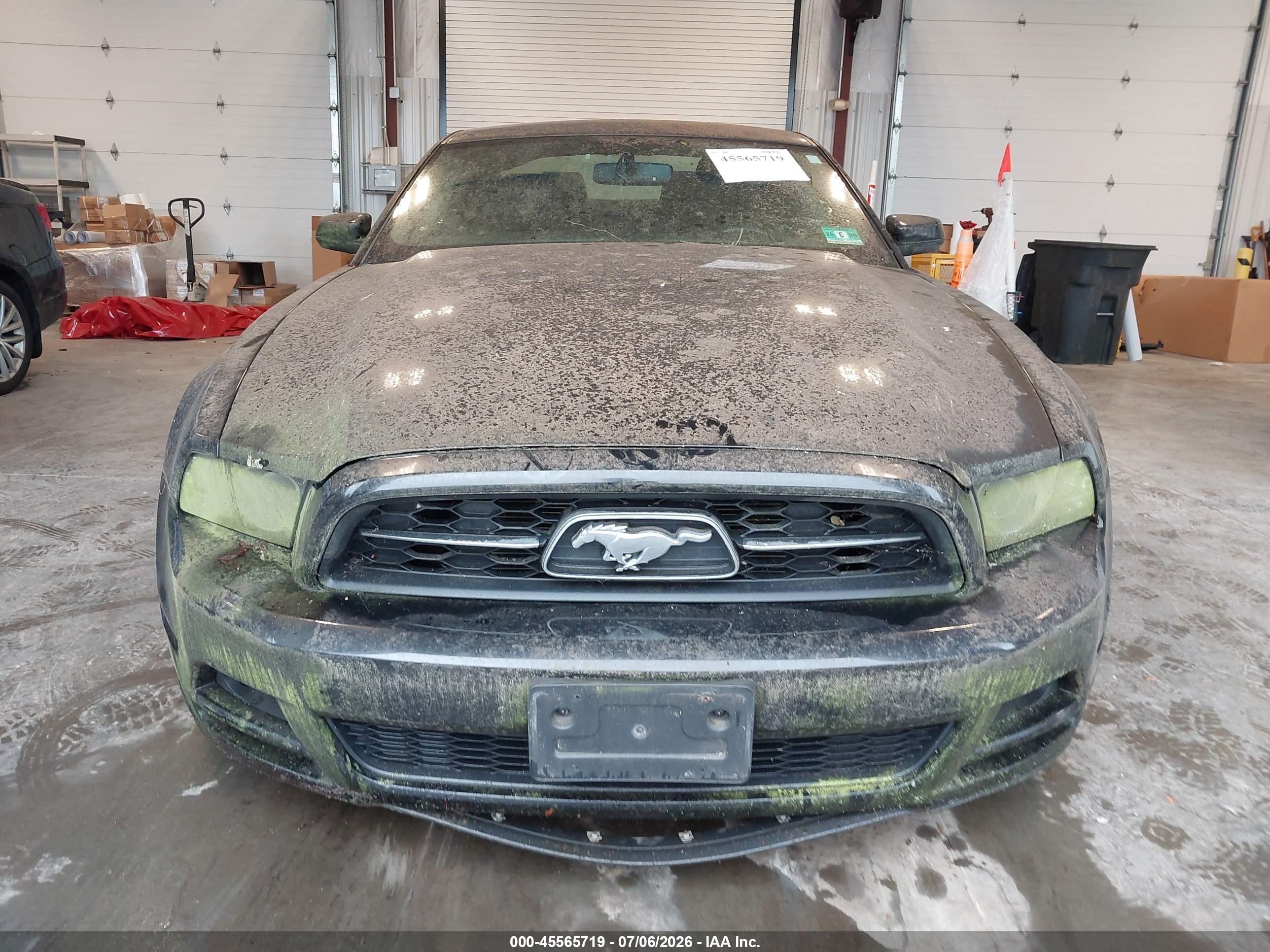 2013 Ford Mustang V6 Premium Black vin: 1ZVBP8AM7D5222920