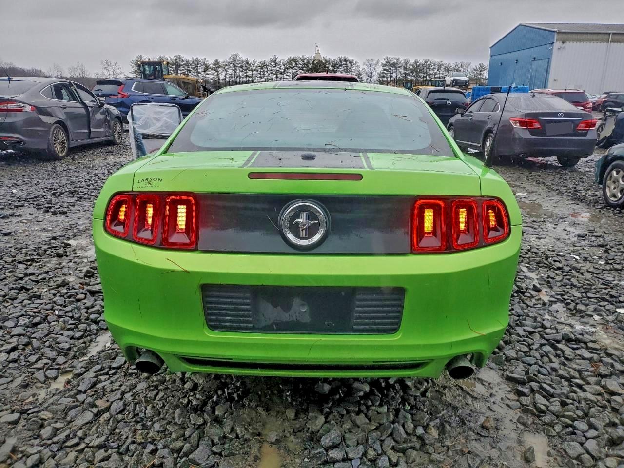 2013 Ford Mustang Green vin: 1ZVBP8AM7D5244299