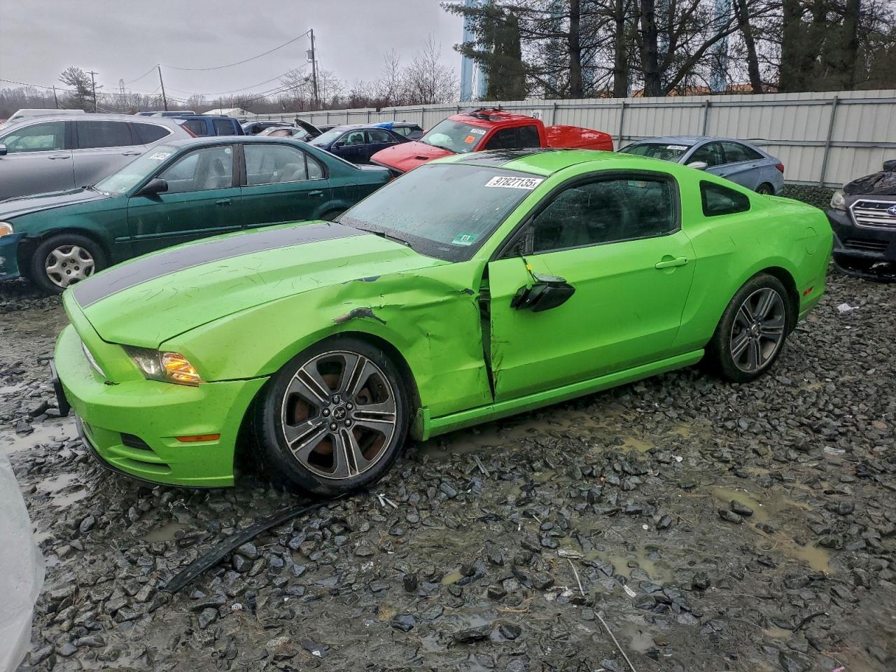 2013 Ford Mustang Green vin: 1ZVBP8AM7D5244299