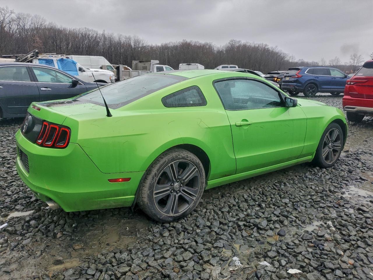 2013 Ford Mustang Green vin: 1ZVBP8AM7D5244299