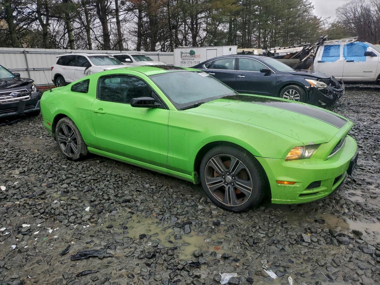 2013 Ford Mustang Green vin: 1ZVBP8AM7D5244299