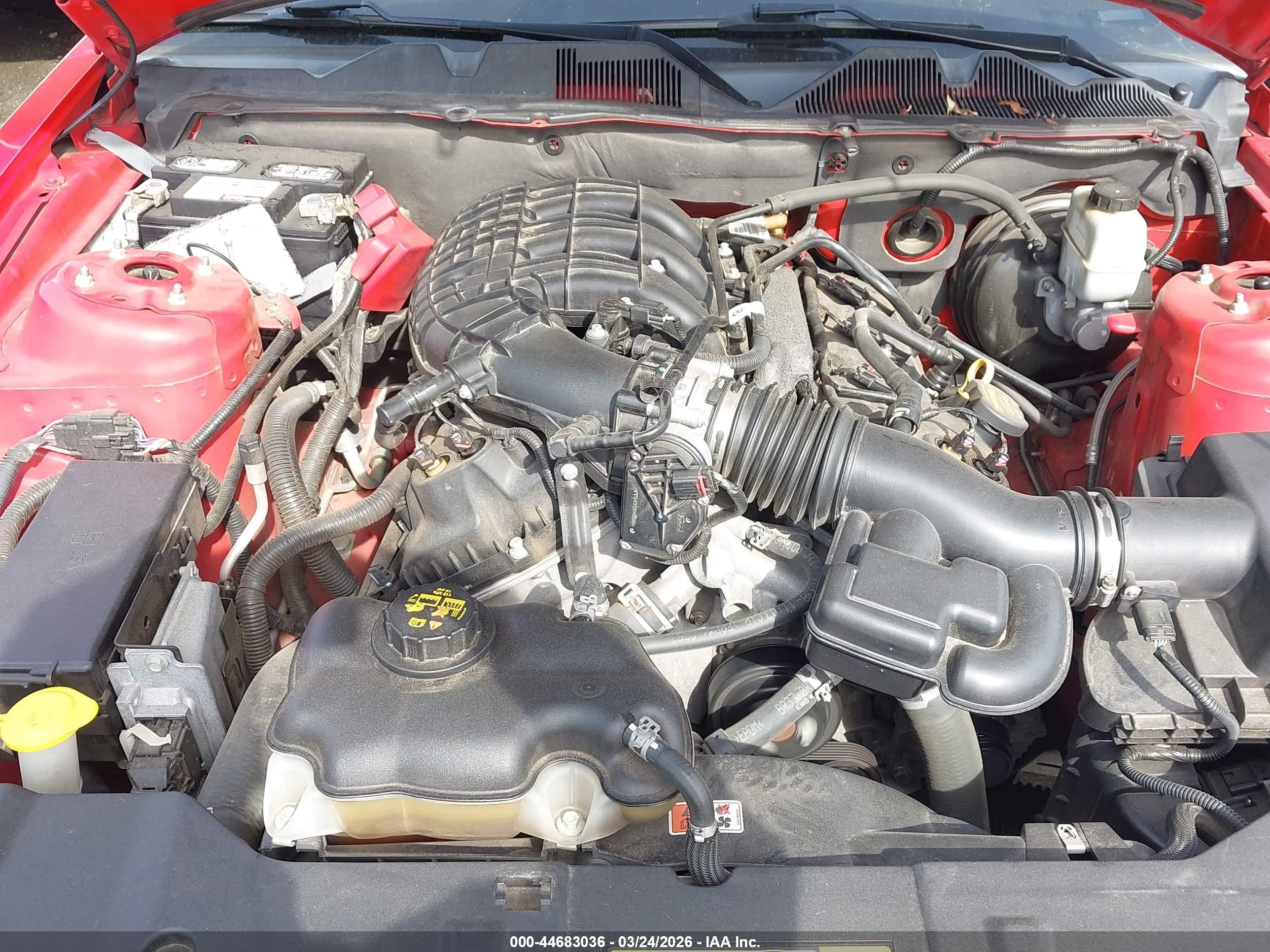 2013 Ford Mustang V6 Red vin: 1ZVBP8AM7D5262365