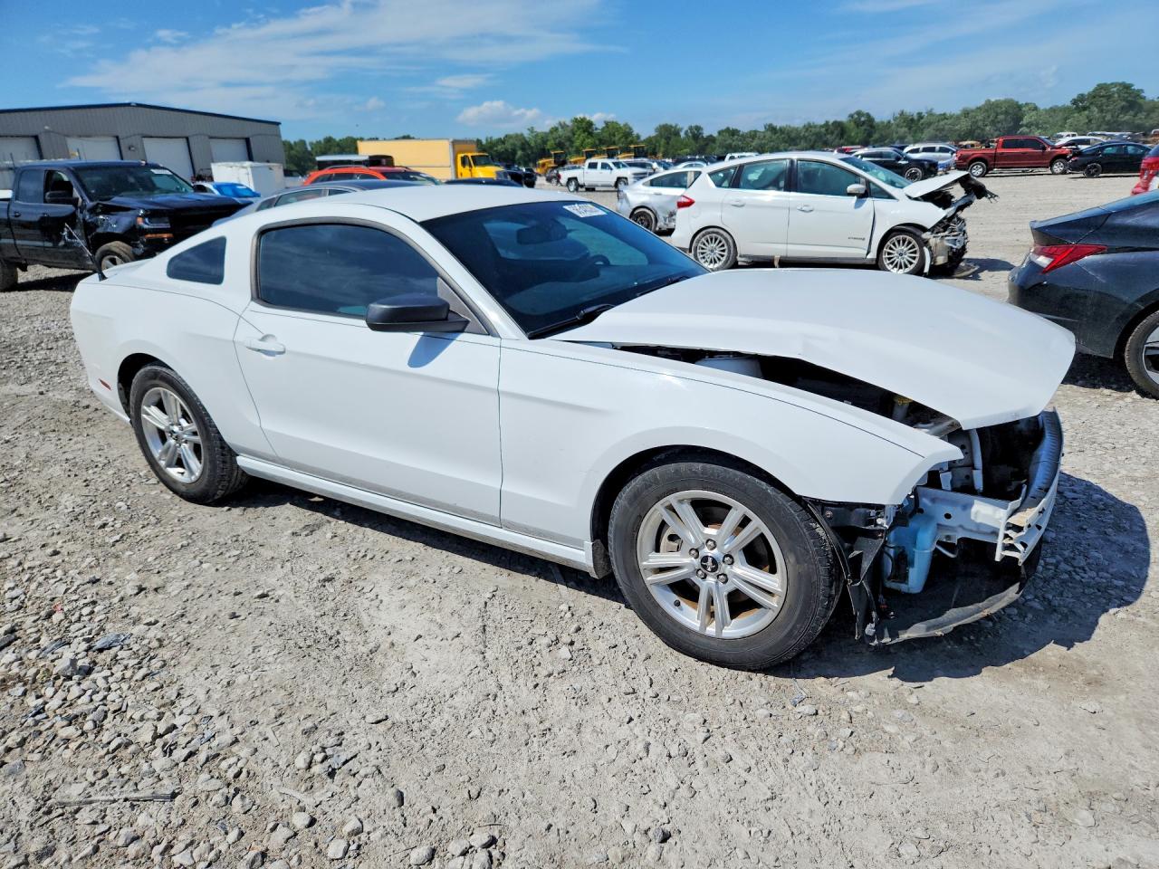2014 Ford Mustang White vin: 1ZVBP8AM7E5203673