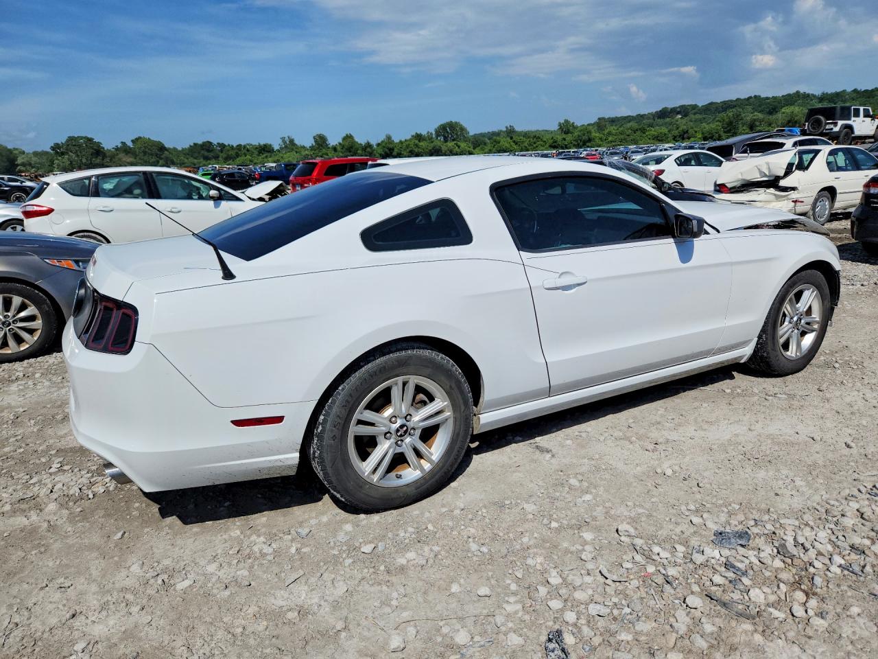 2014 Ford Mustang White vin: 1ZVBP8AM7E5203673