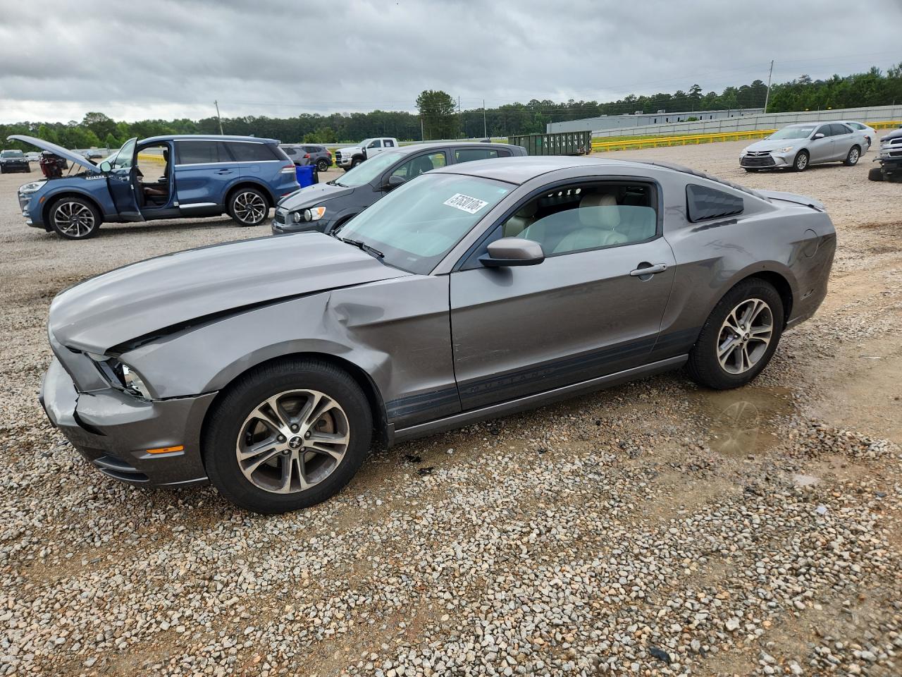 2014 Ford Mustang Gray vin: 1ZVBP8AM7E5232512