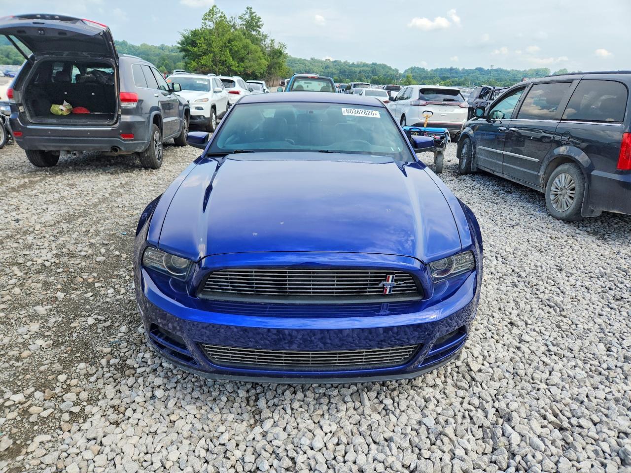 2014 Ford Mustang Blue vin: 1ZVBP8AM7E5280592