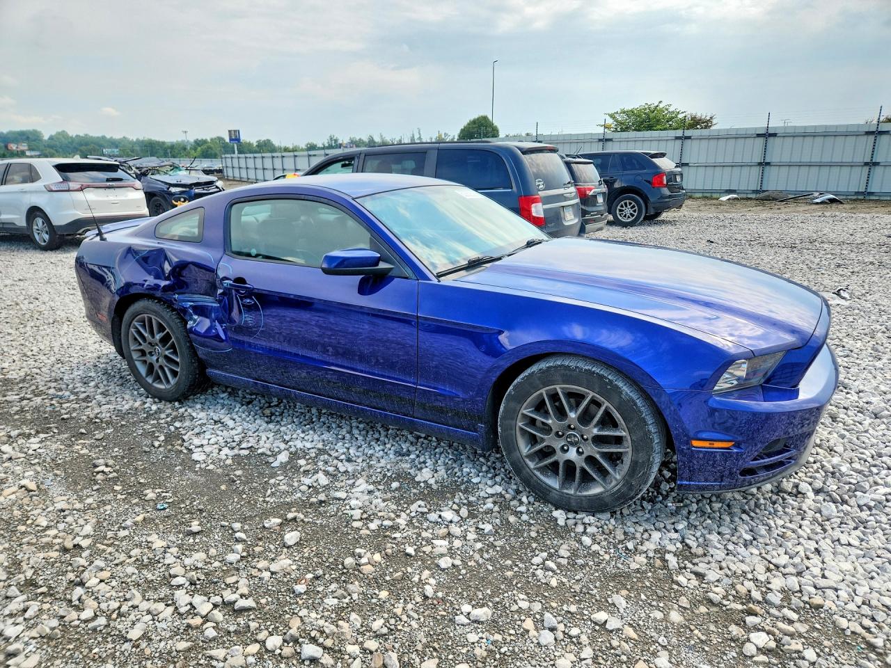 2014 Ford Mustang Blue vin: 1ZVBP8AM7E5280592