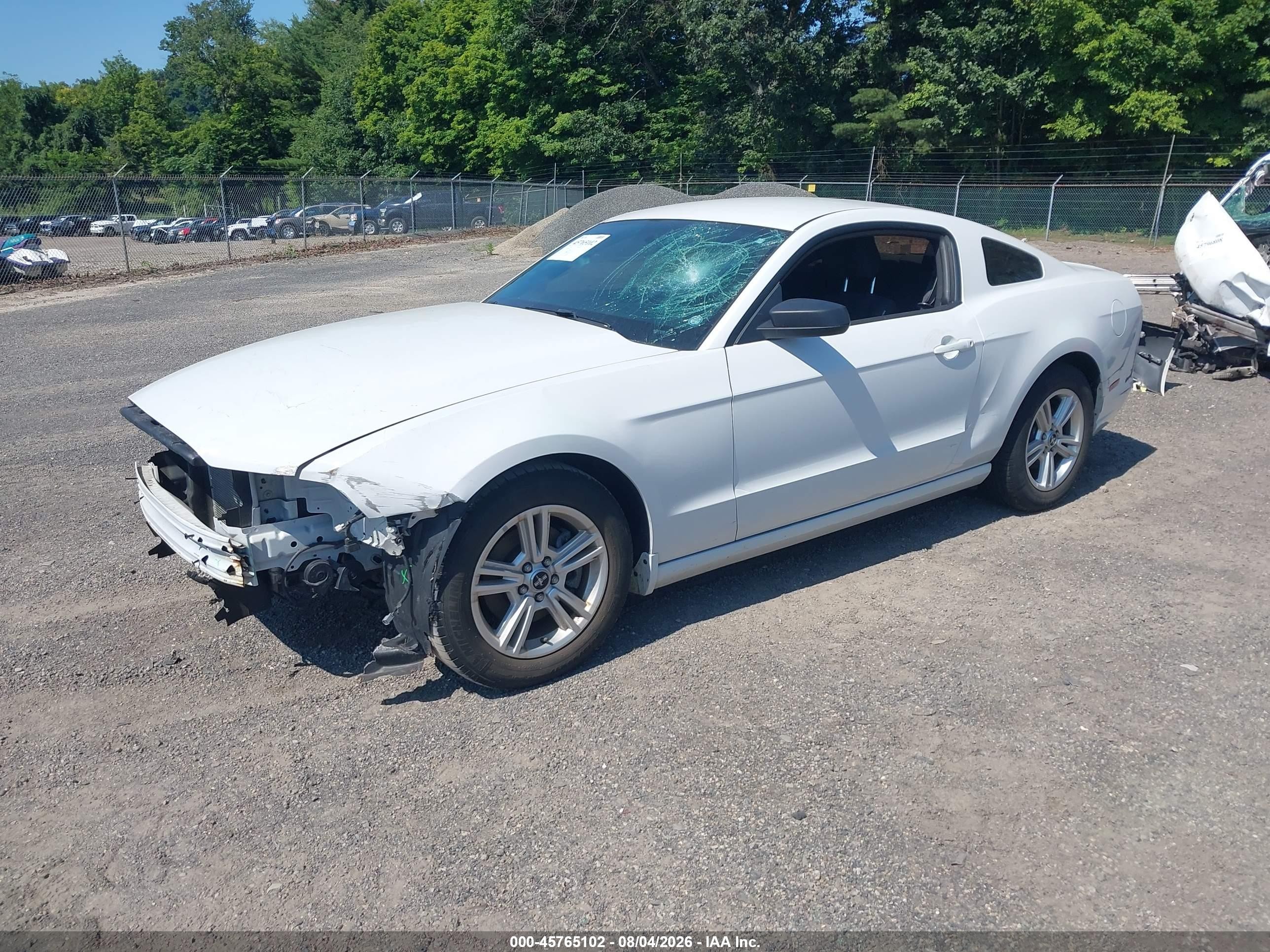 2014 Ford Mustang V6 Белый vin: 1ZVBP8AM7E5302154