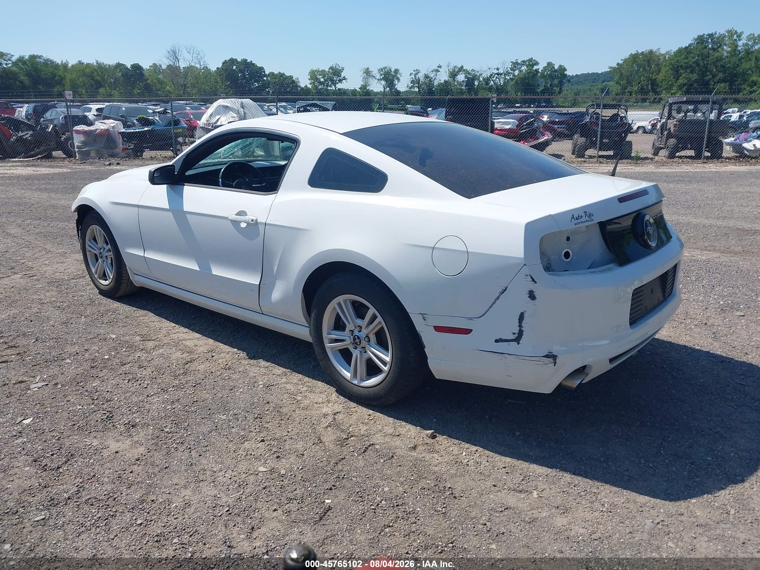 2014 Ford Mustang V6 Белый vin: 1ZVBP8AM7E5302154