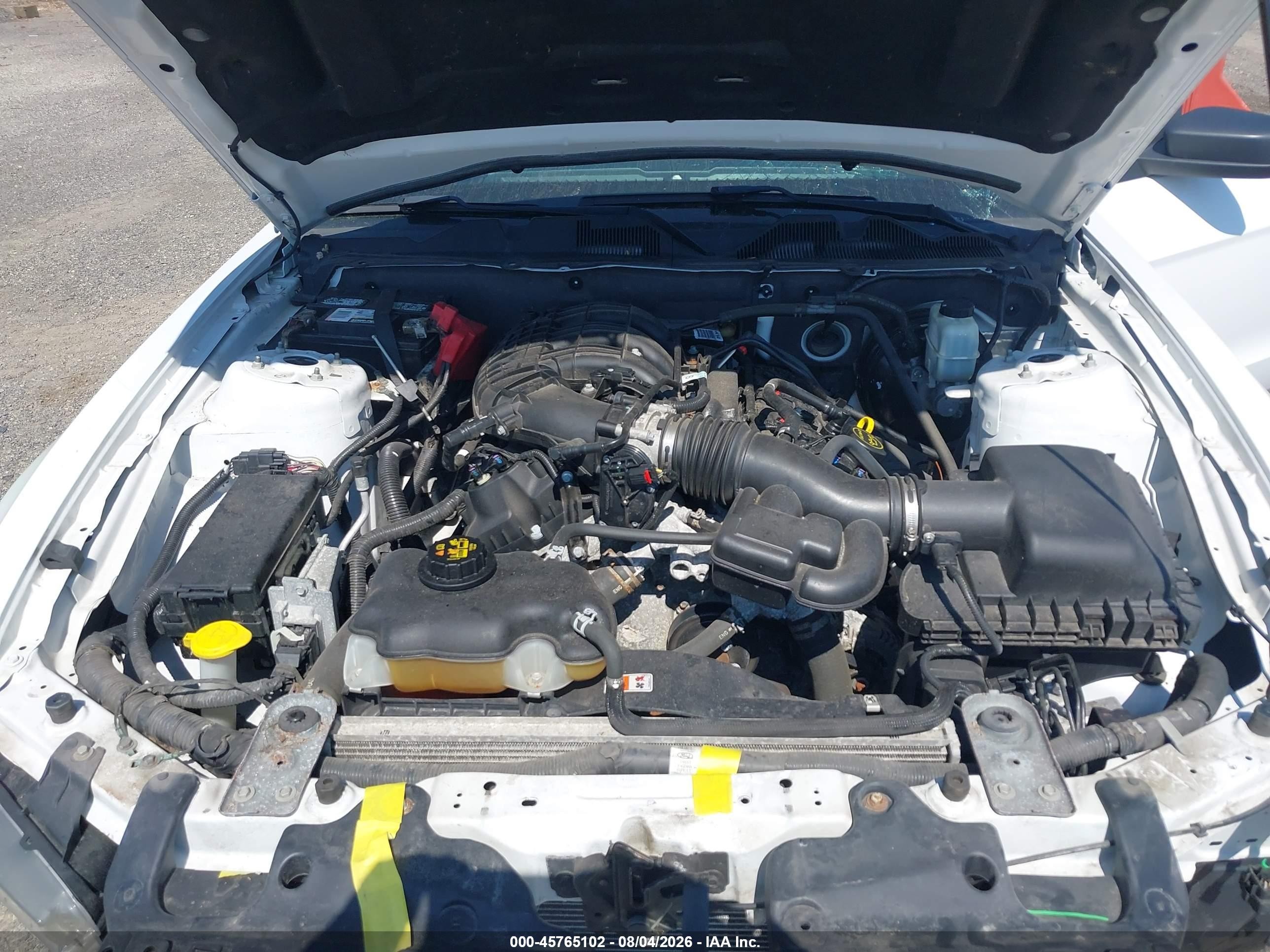 2014 Ford Mustang V6 Белый vin: 1ZVBP8AM7E5302154