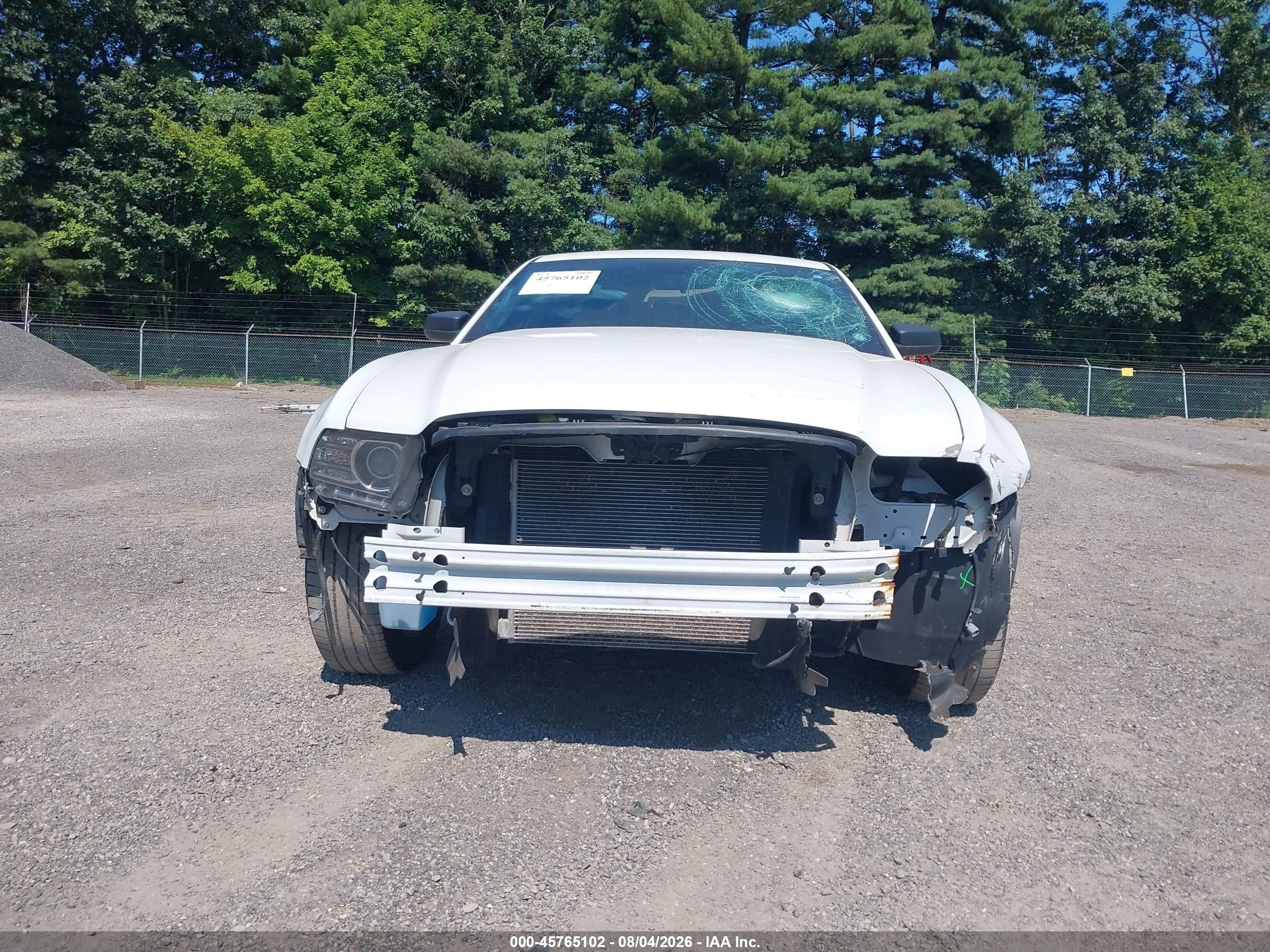 2014 Ford Mustang V6 Белый vin: 1ZVBP8AM7E5302154