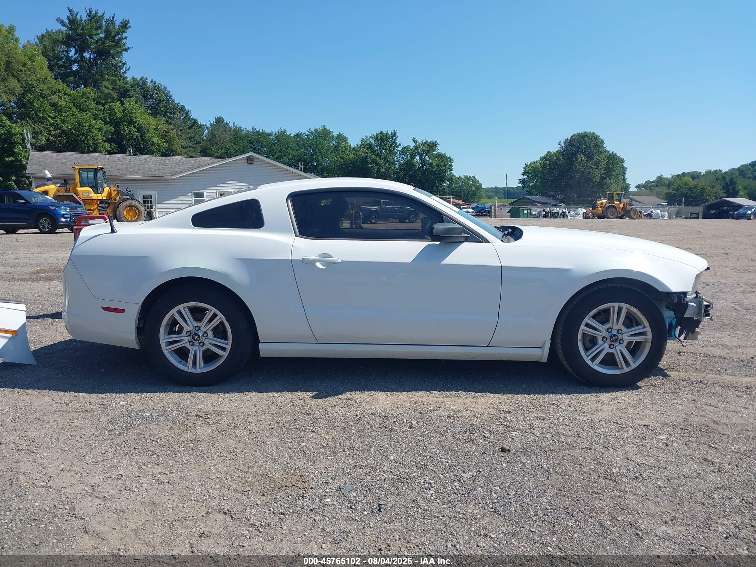 2014 Ford Mustang V6 Белый vin: 1ZVBP8AM7E5302154