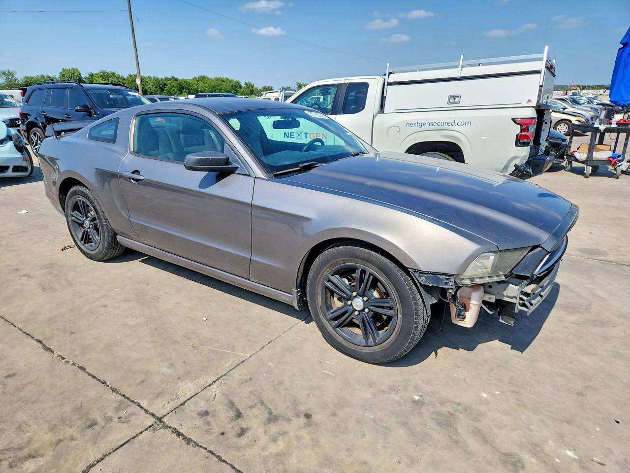 2014 Ford Mustang Gray vin: 1ZVBP8AM7E5328981